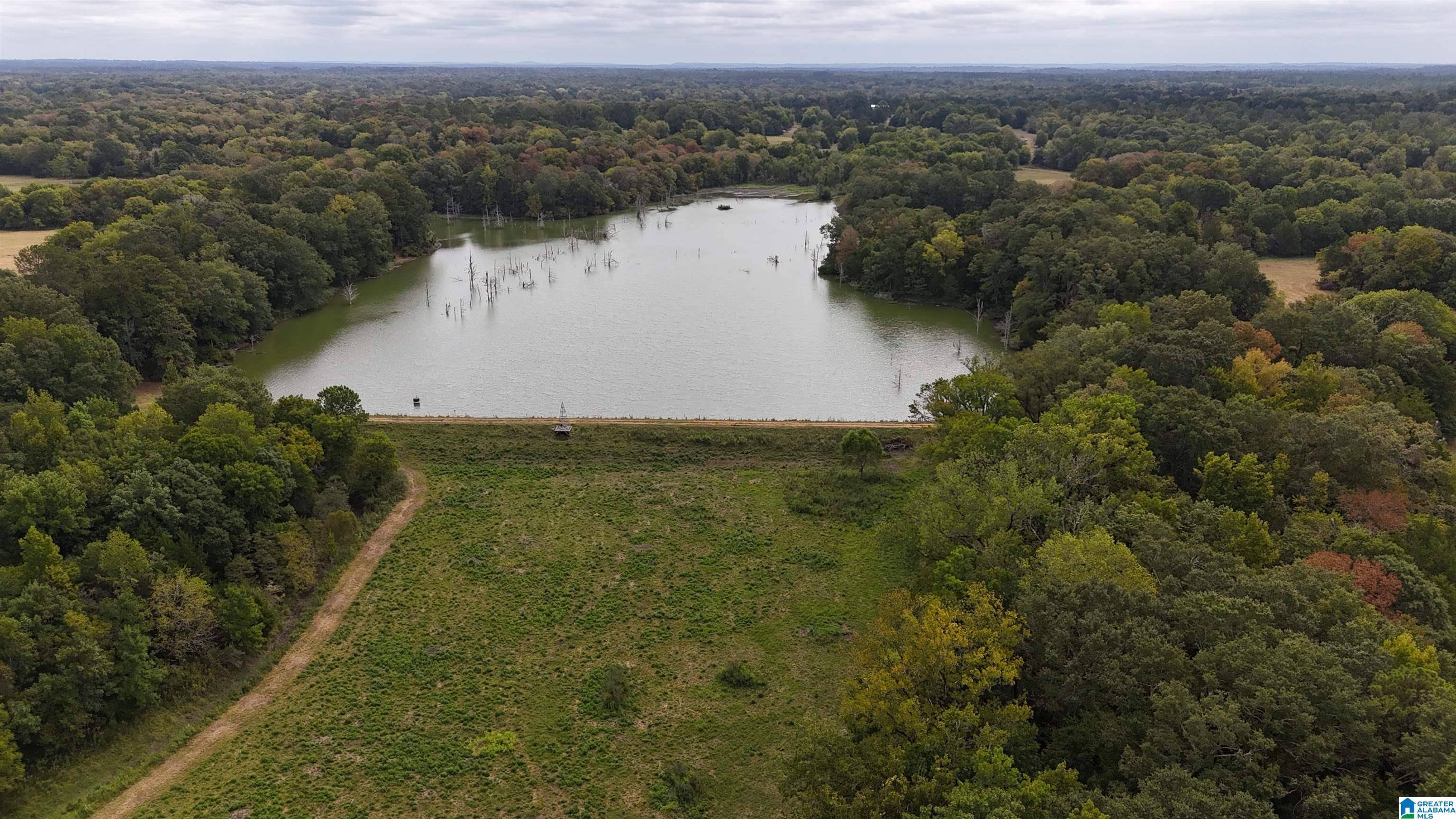 Pine Apple, AL 36768,6040 E HIGHWAY 28 #0