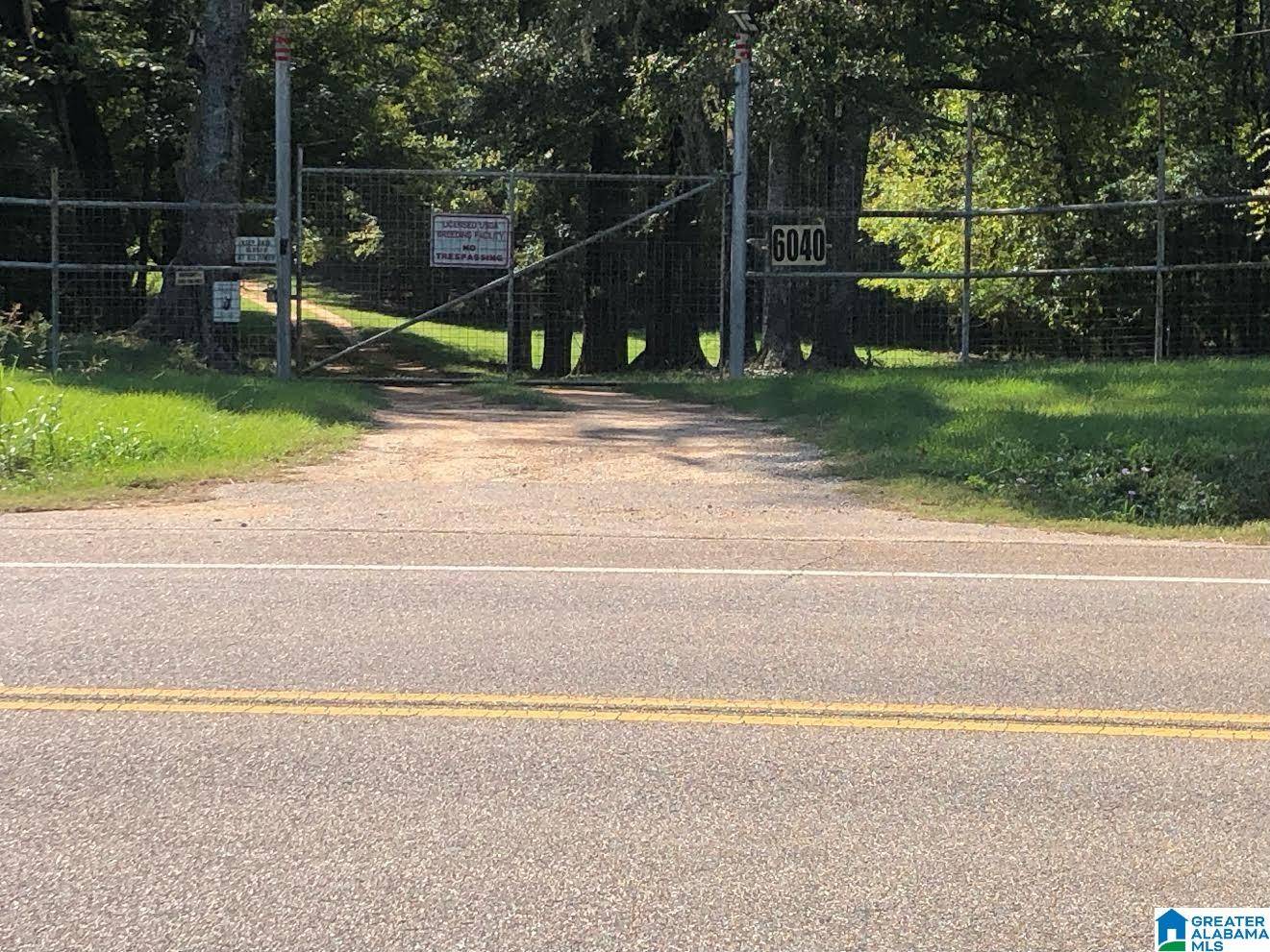 Pine Apple, AL 36768,6040 E HIGHWAY 28 #0