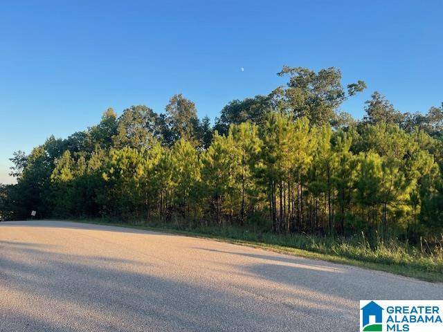 Mccalla, AL 35111,0 DIESEL DRIVE #0
