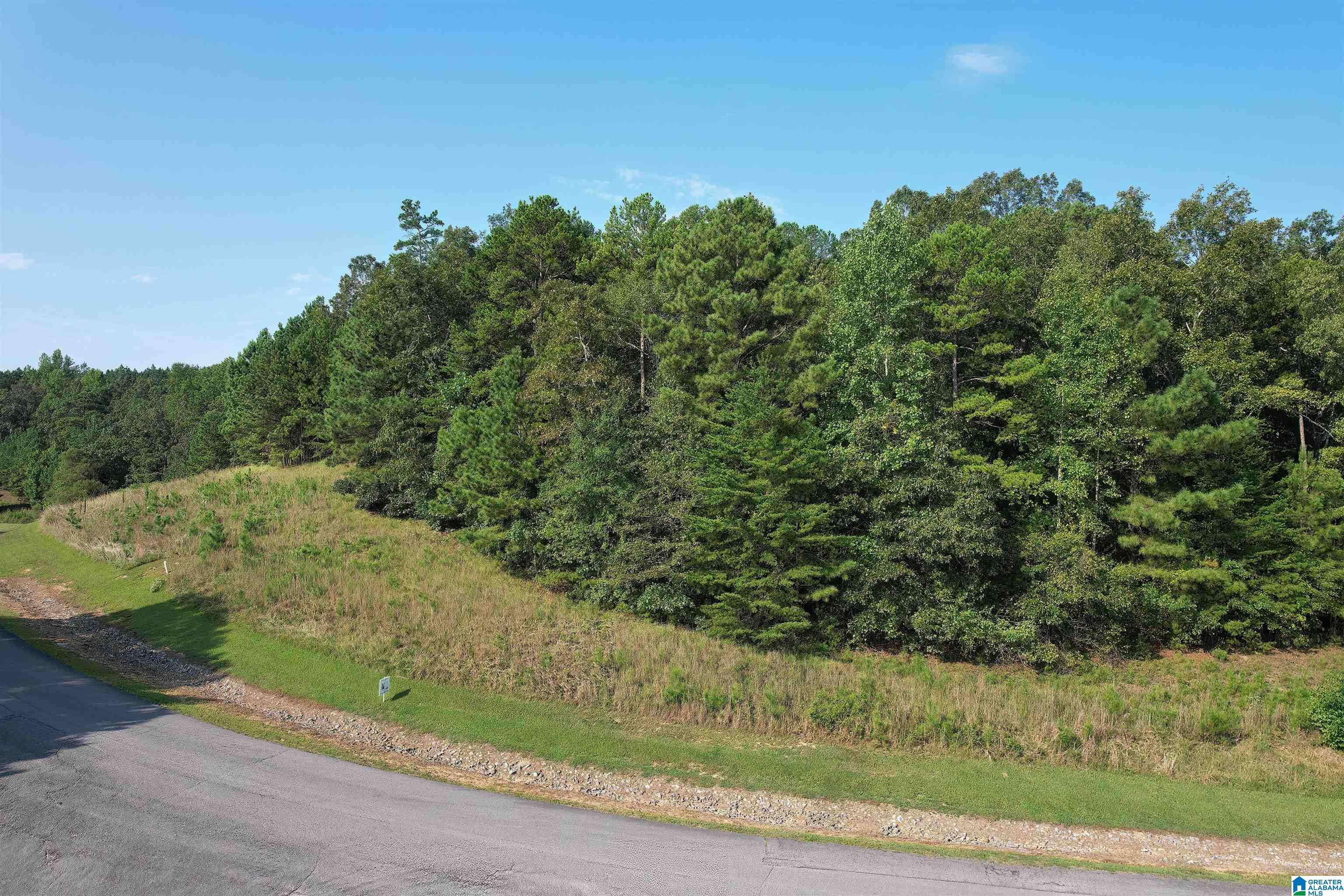 Double Springs, AL 35553,221 STONEY POINT ROAD S #221/122