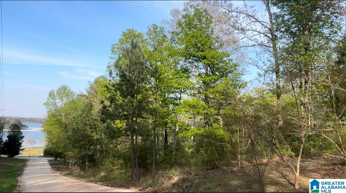 Lineville, AL 36266,Lot 9 NEW HARMONY DRIVE #9