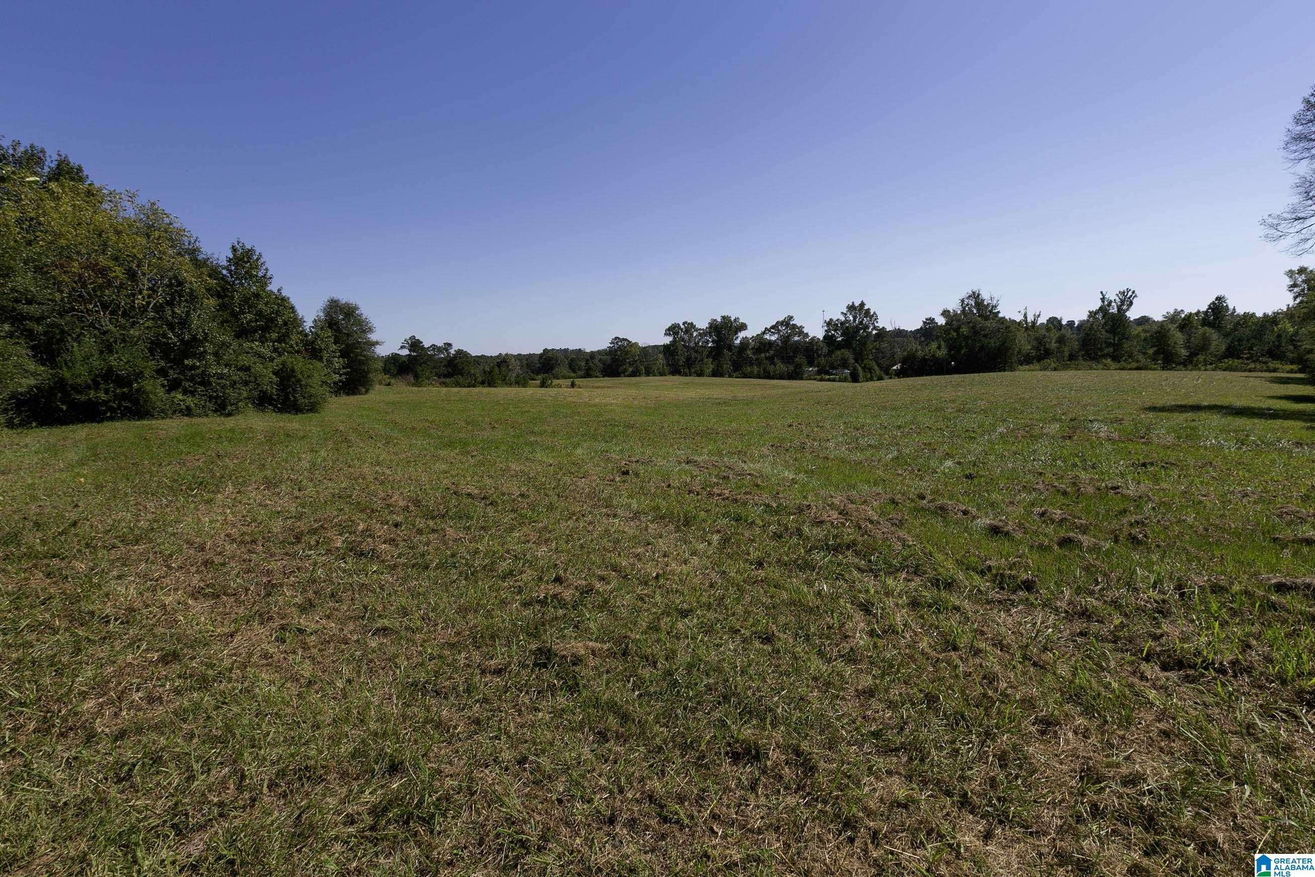 Hanceville, AL 35077,TBD COUNTY ROAD 571 #0