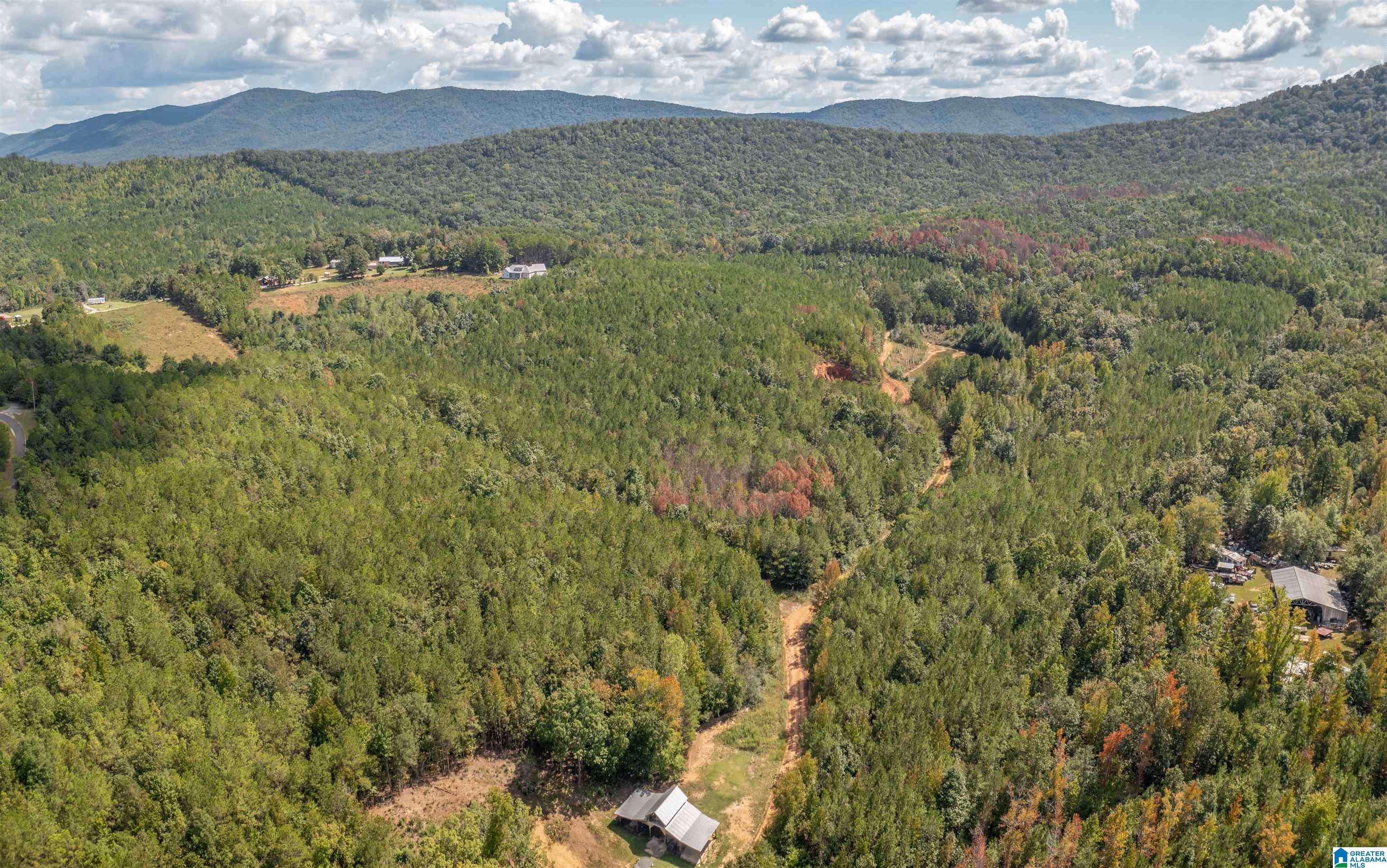 Piedmont, AL 36272,3 Acres TUCK-A-WAY DRIVE #20