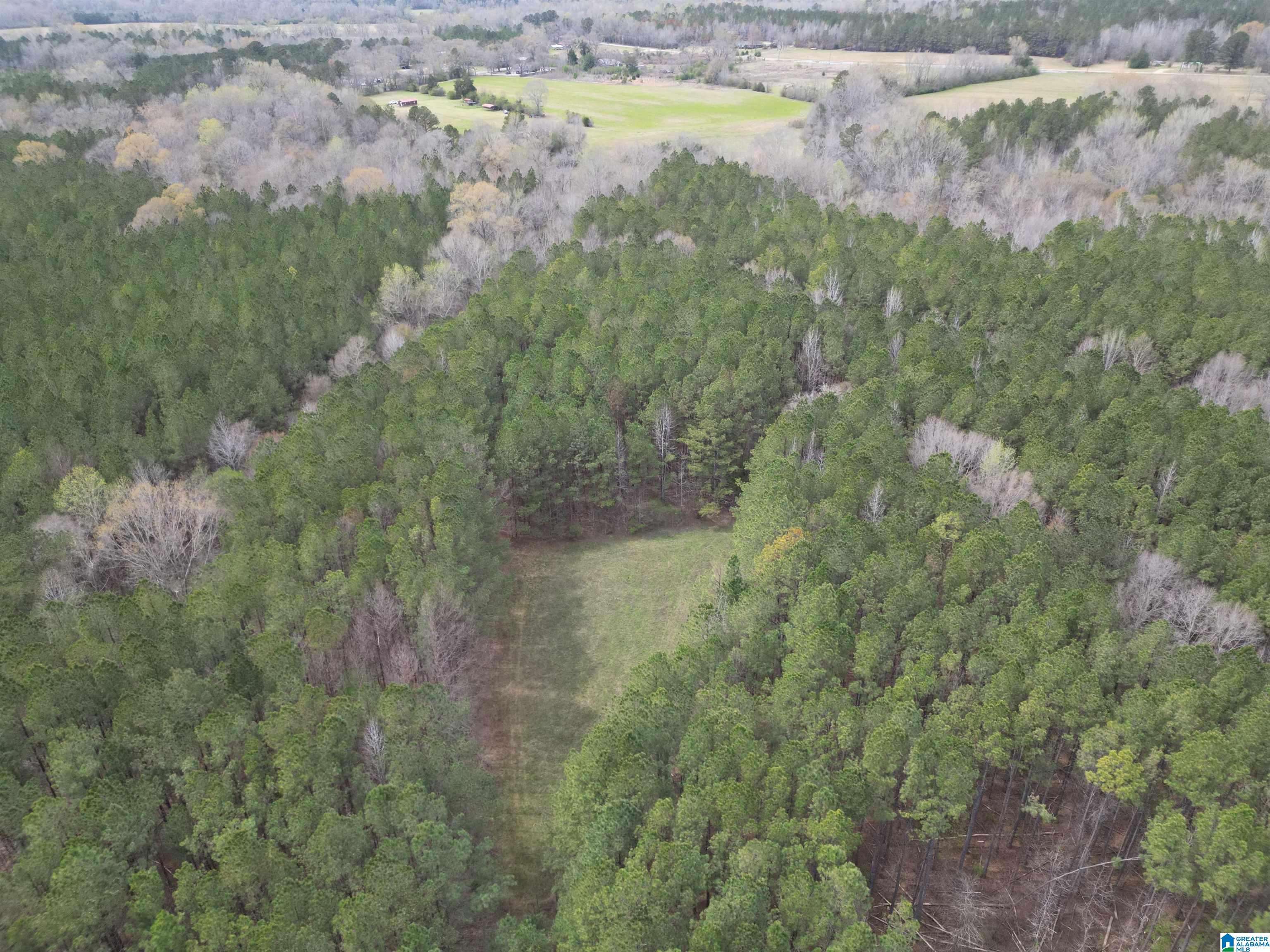 Clanton, AL 35045,9380 COUNTY ROAD 15 #1