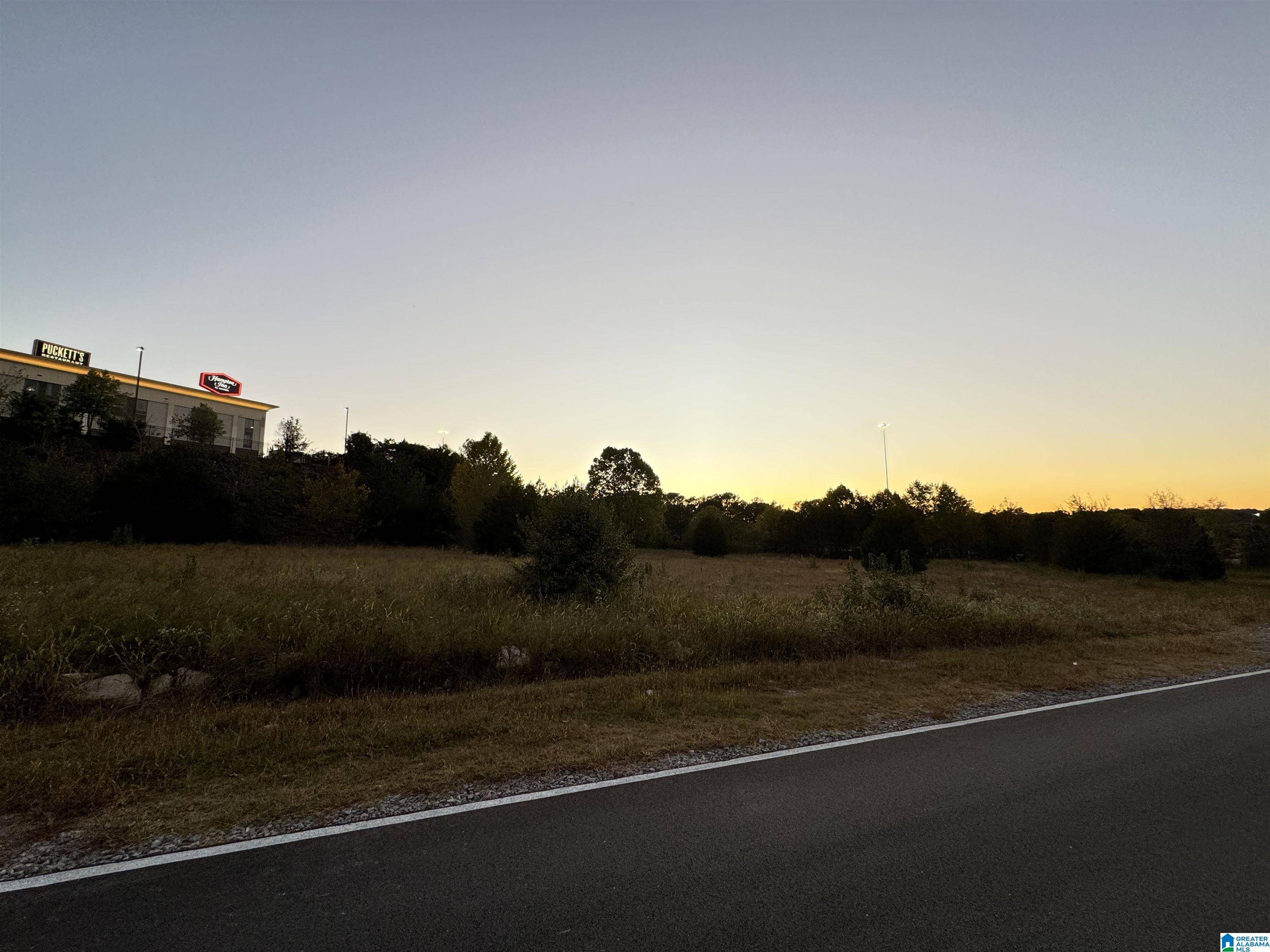 Cullman, AL 35058,0 NEW DRIPPING SPRINGS ROAD #N/A