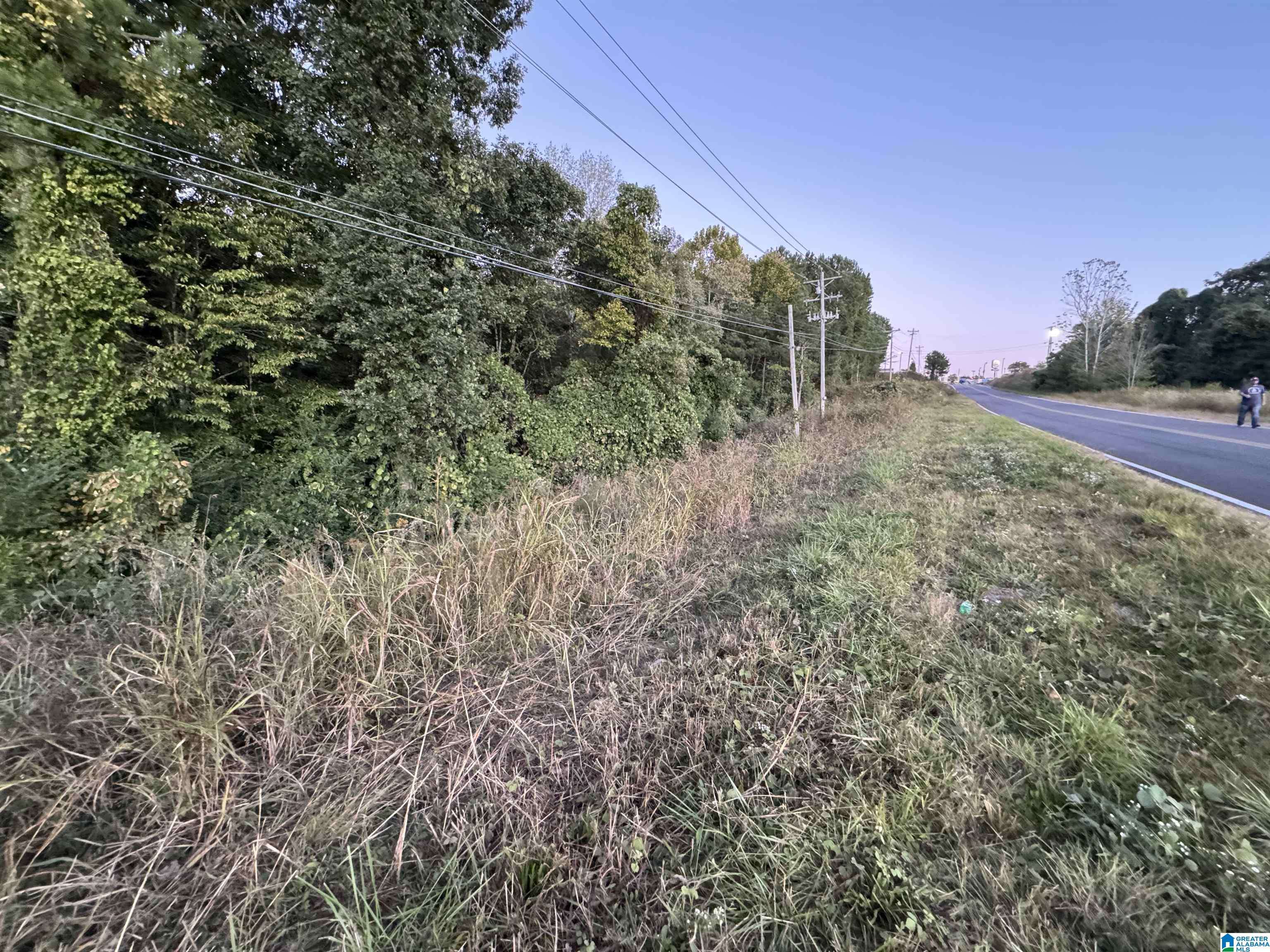 Cullman, AL 35058,00 NEW DRIPPING SPRINGS ROAD #N/A