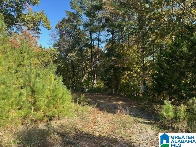 Pell City, AL 35125,823 DOGWOOD ESTATES ROAD