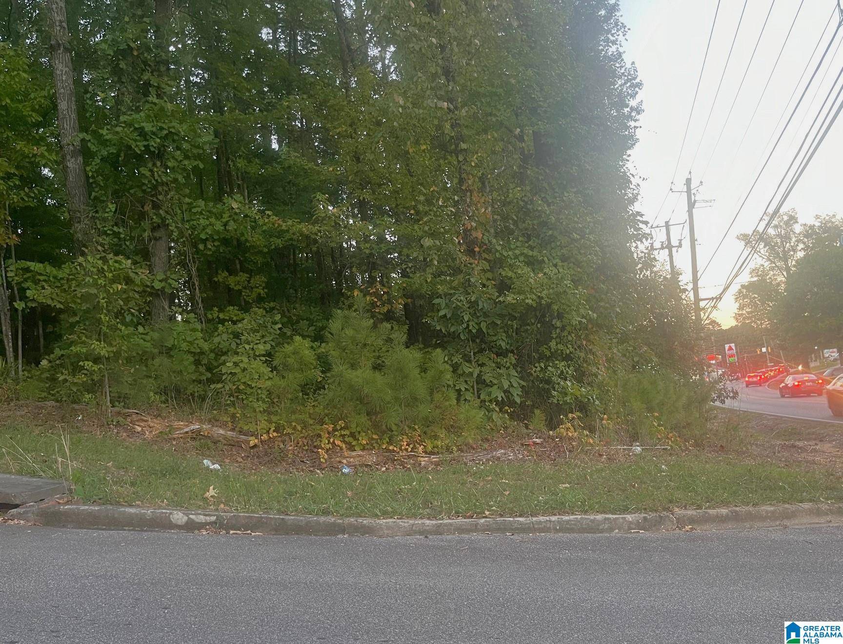 Clay, AL 35126,6760 OLD SPRINGVILLE ROAD #1