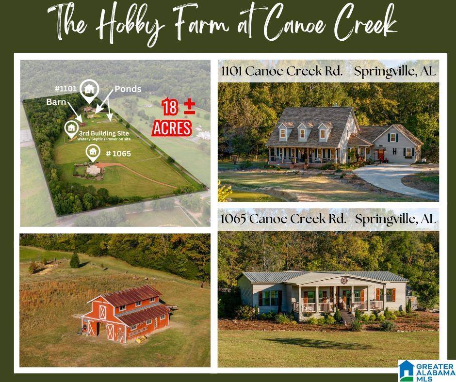 Springville, AL 35146,1101 CANOE CREEK ROAD