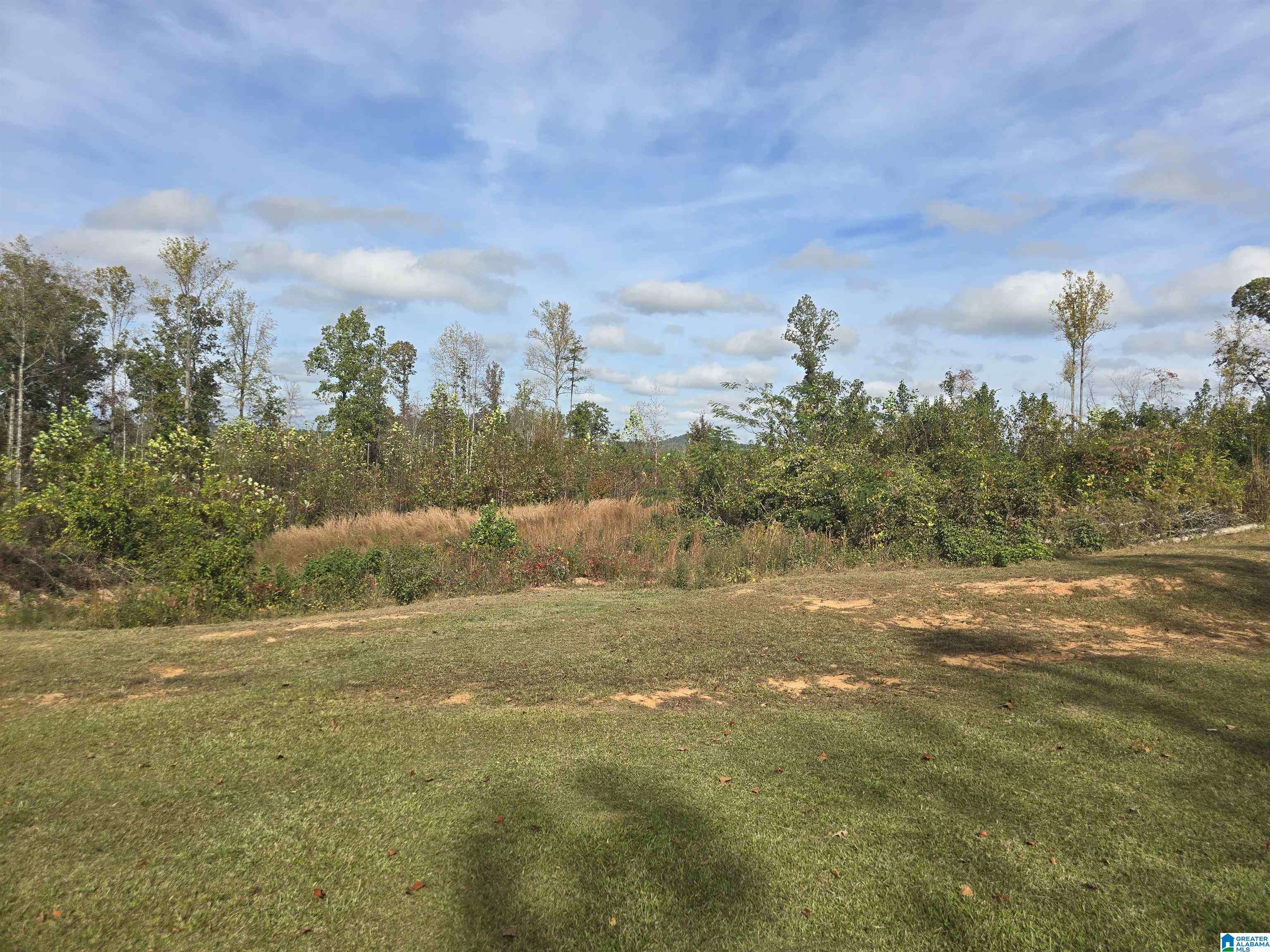 Weogufka, AL 35183,8280 COUNTY ROAD 55