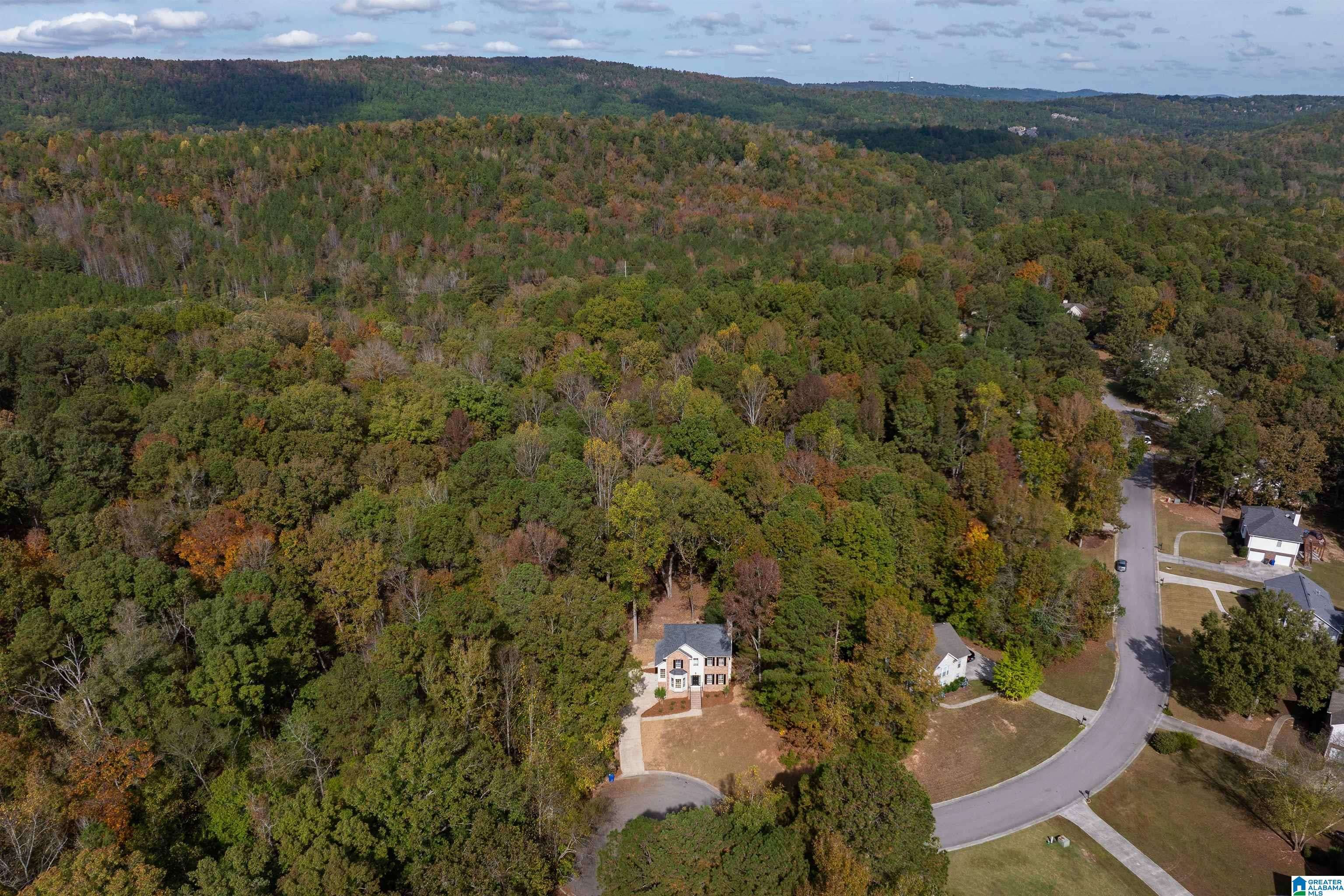Chelsea, AL 35043,134 BRYNHURST DRIVE
