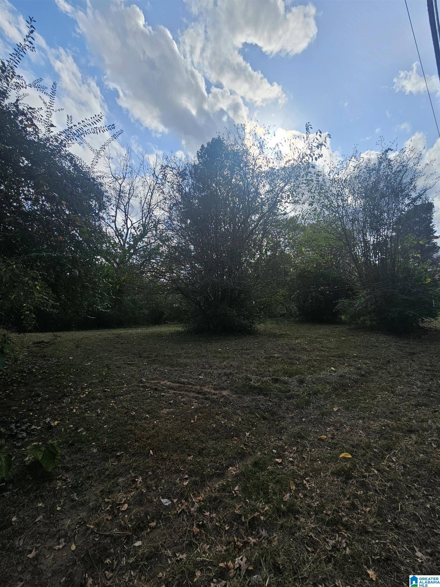 Helena, AL 35080,0 S SHADES CREST ROAD #none