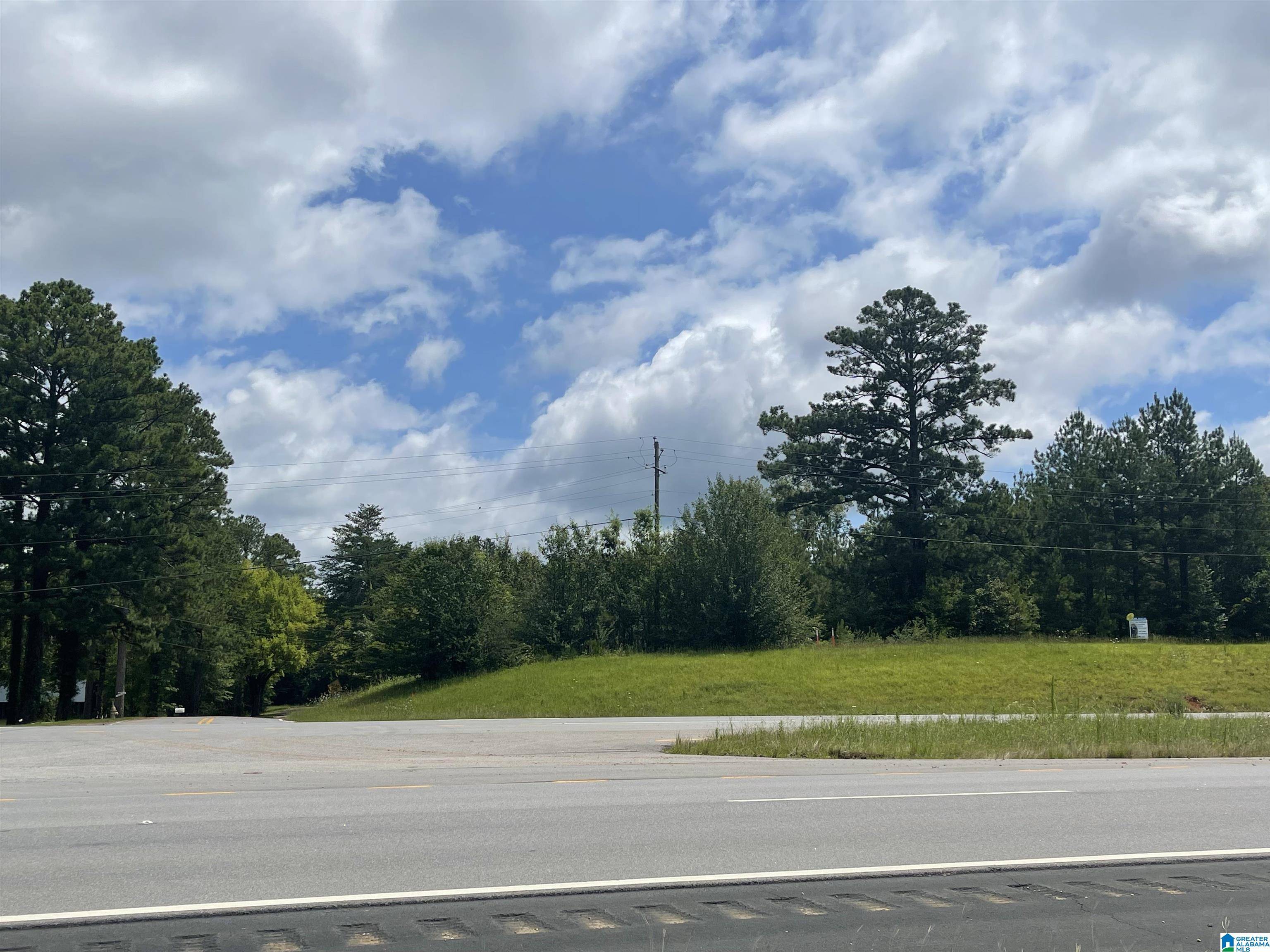Harpersville, AL 35078,1832 HIGHWAY 280 #0