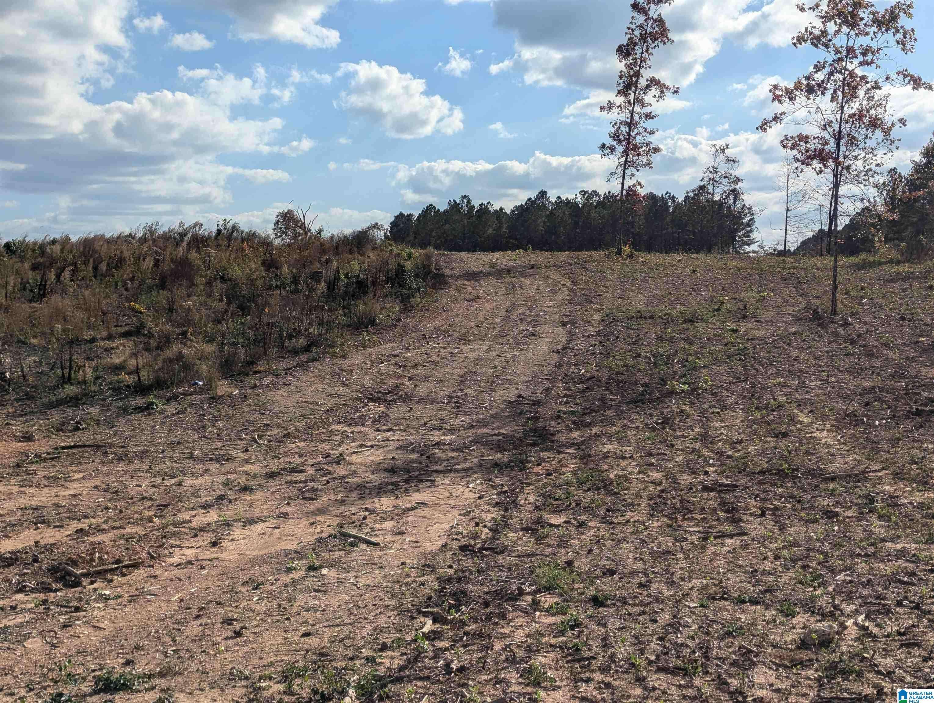 Fruithurst, AL 36262,7016 COUNTY ROAD 65 #0