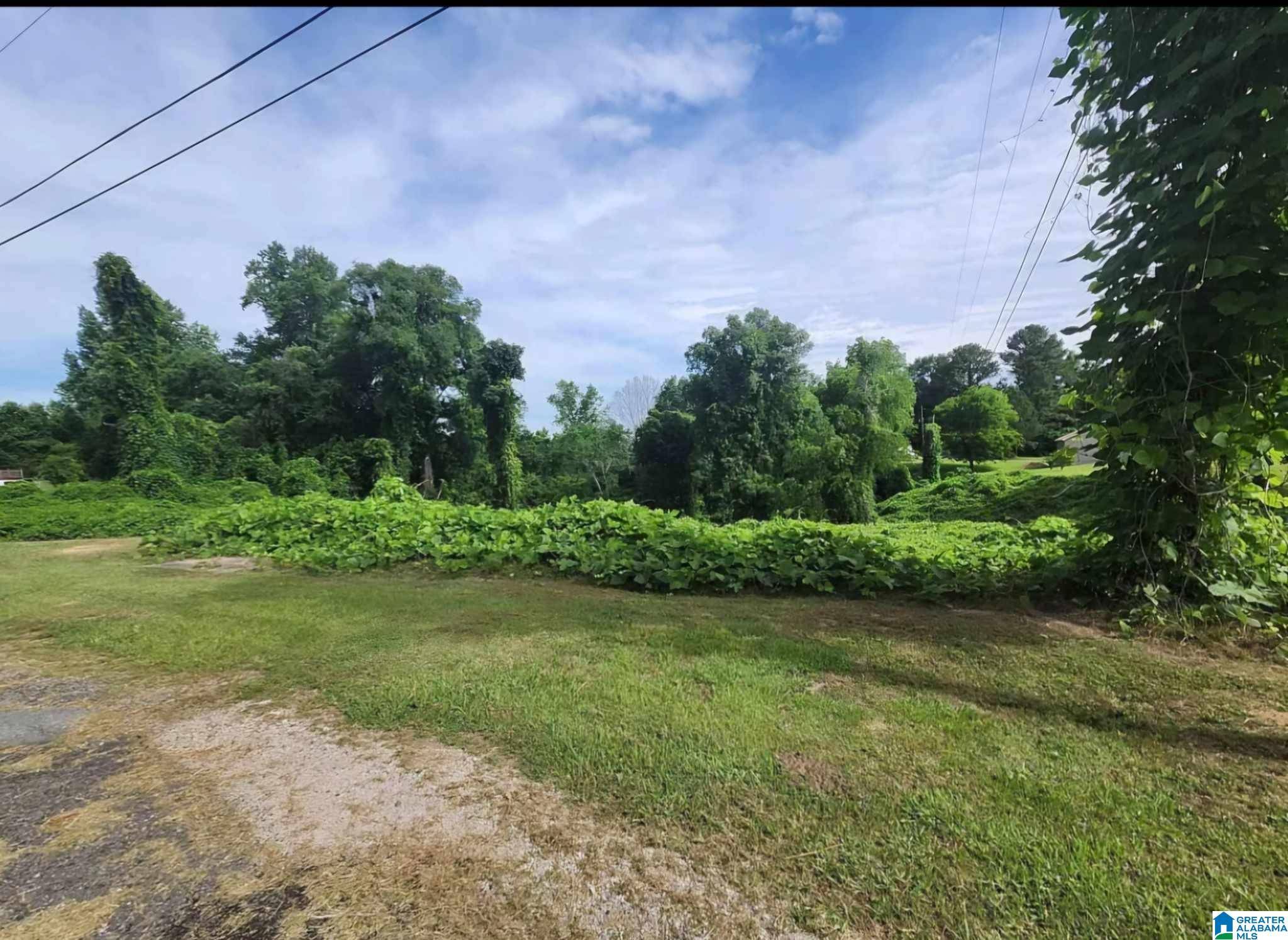 Graysville, AL 35073,894 9TH AVENUE #Ave