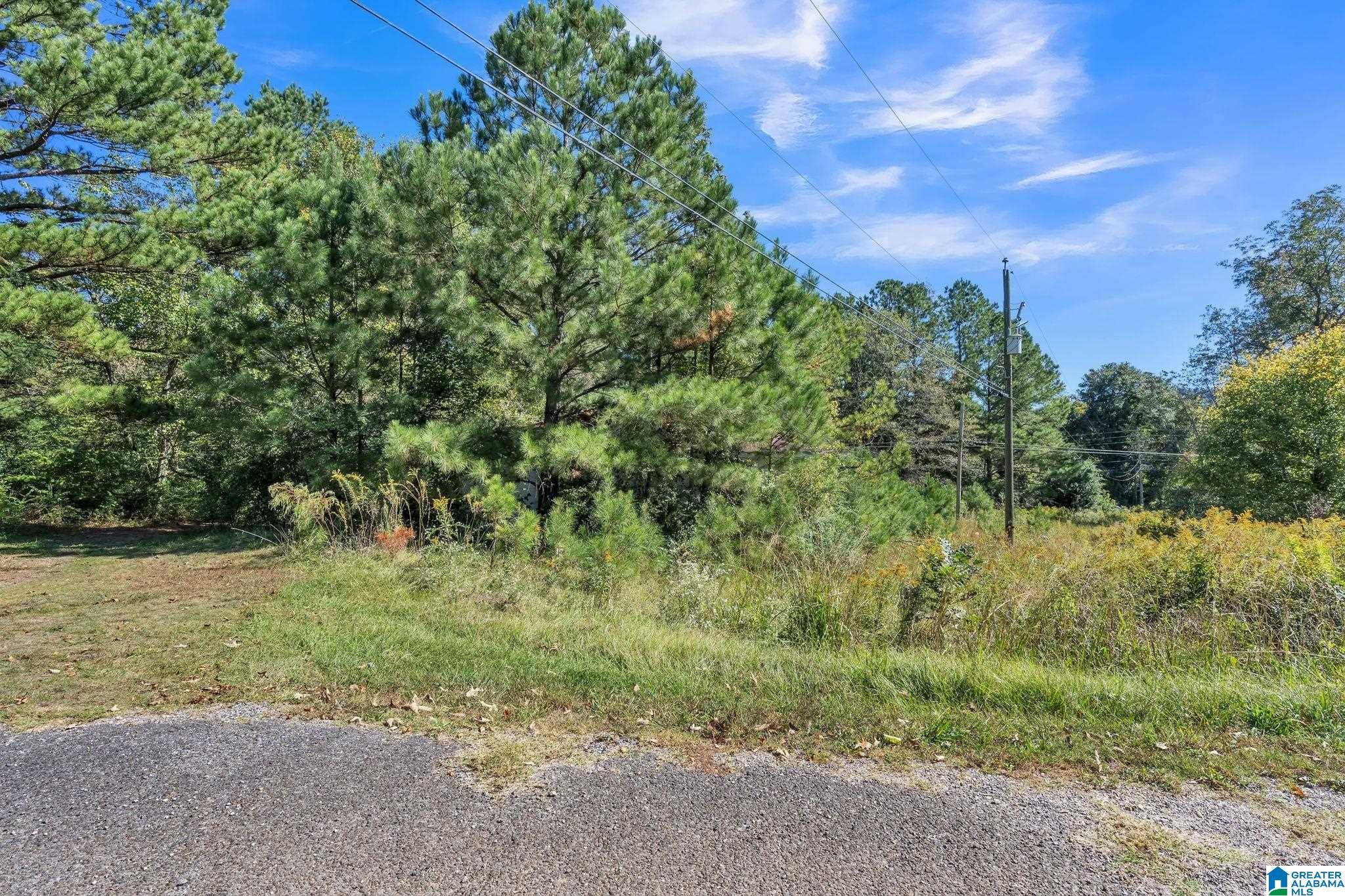 Leeds, AL 35094,50 PEACHTREE LANE NORTHWEST