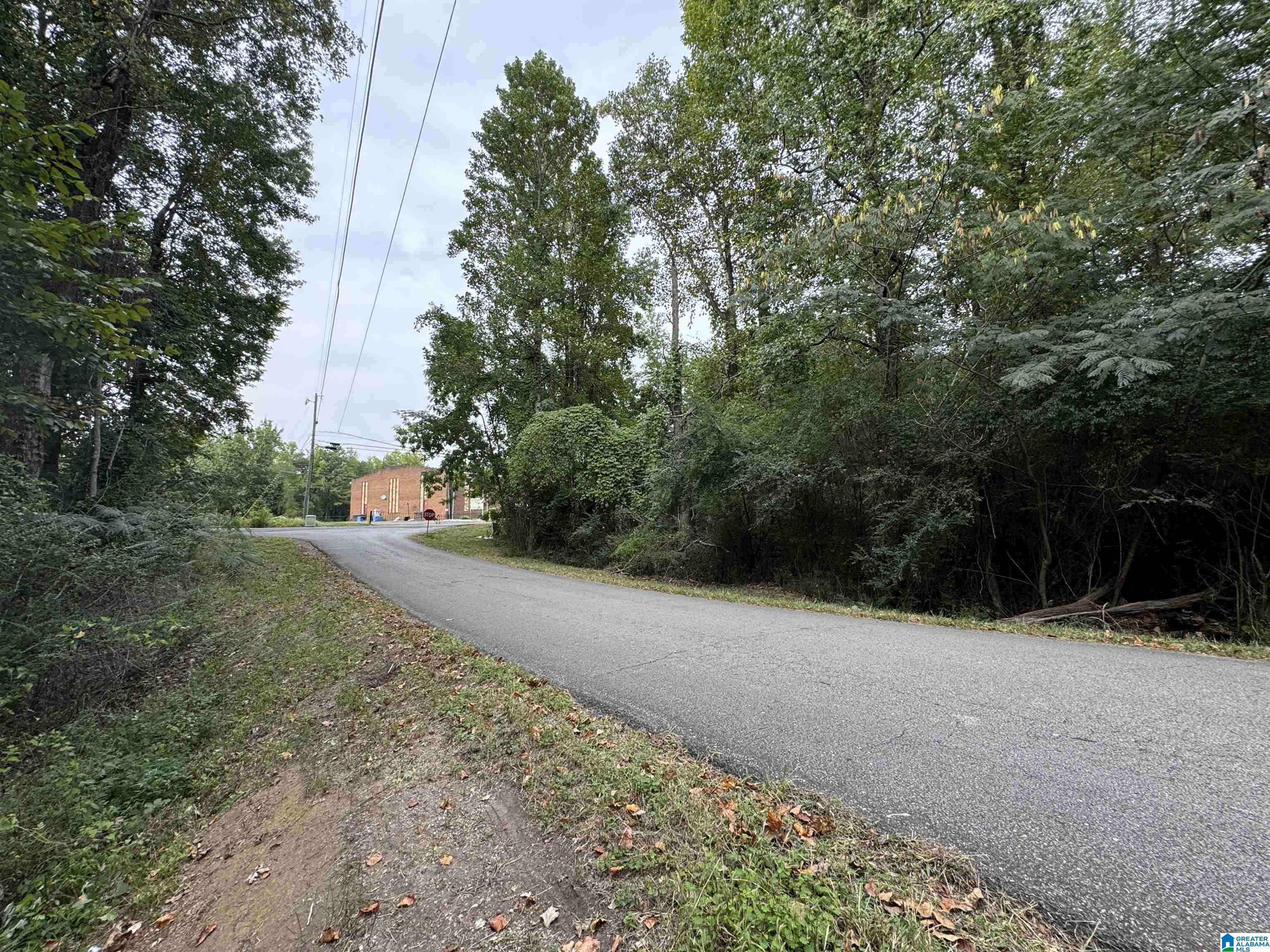Adamsville, AL 35005,1281 UNION GROVE ROAD #0