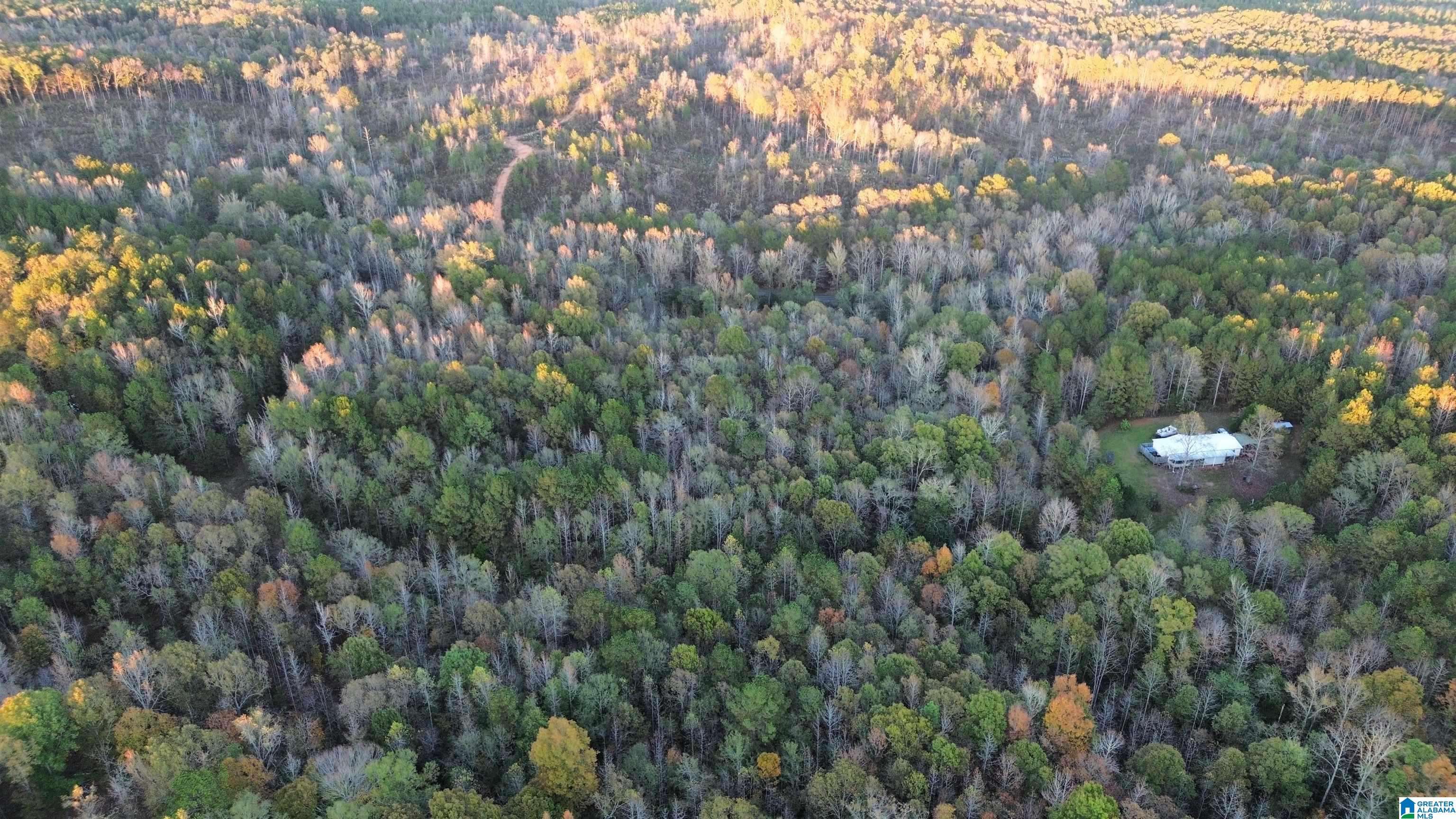 Goodwater, AL 35072,0 COOSA COUNTY ROAD 66 #0