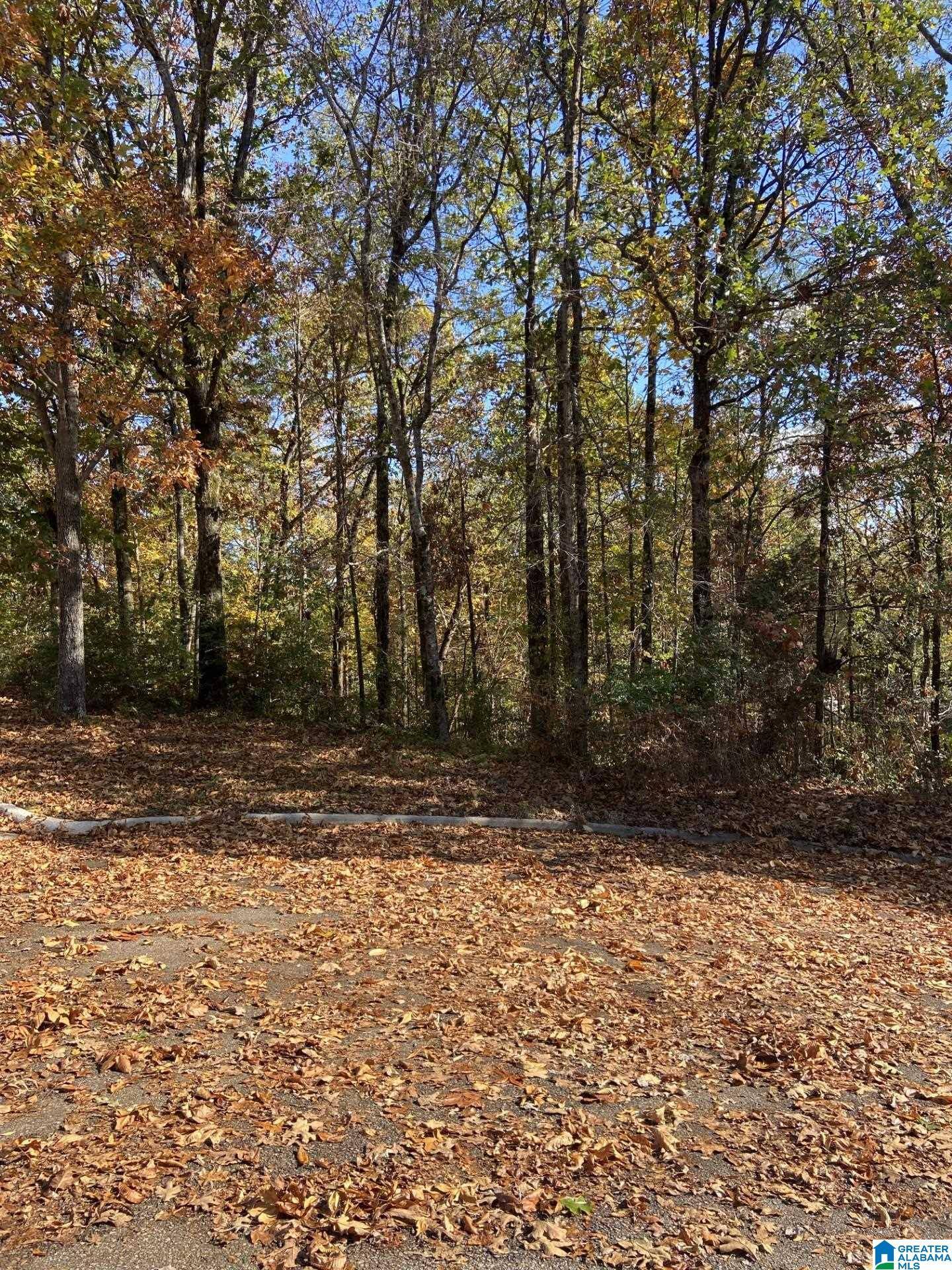 Birmingham, AL 35215,1705 STAGECOACH CIRCLE #1705