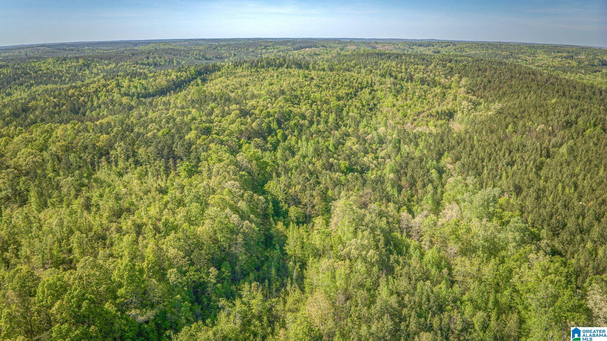 Beaverton, AL 35544,87 Acres KAY HOLLIS ROAD #None