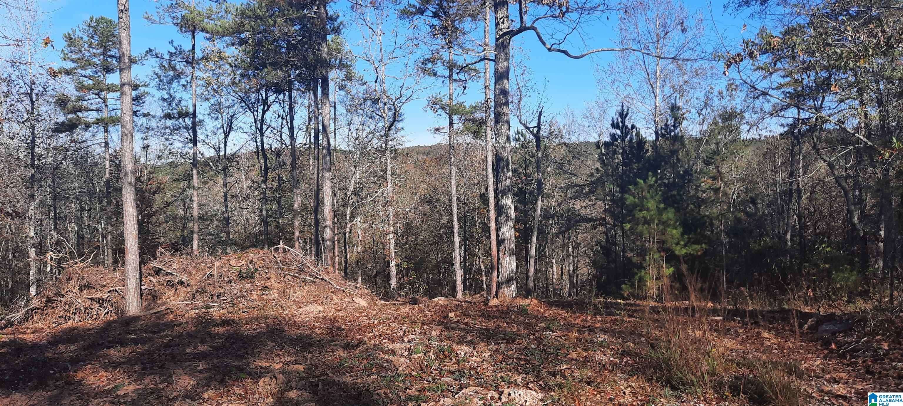 Wedowee, AL 36278,0 RIVER BREEZE #12 and 13A