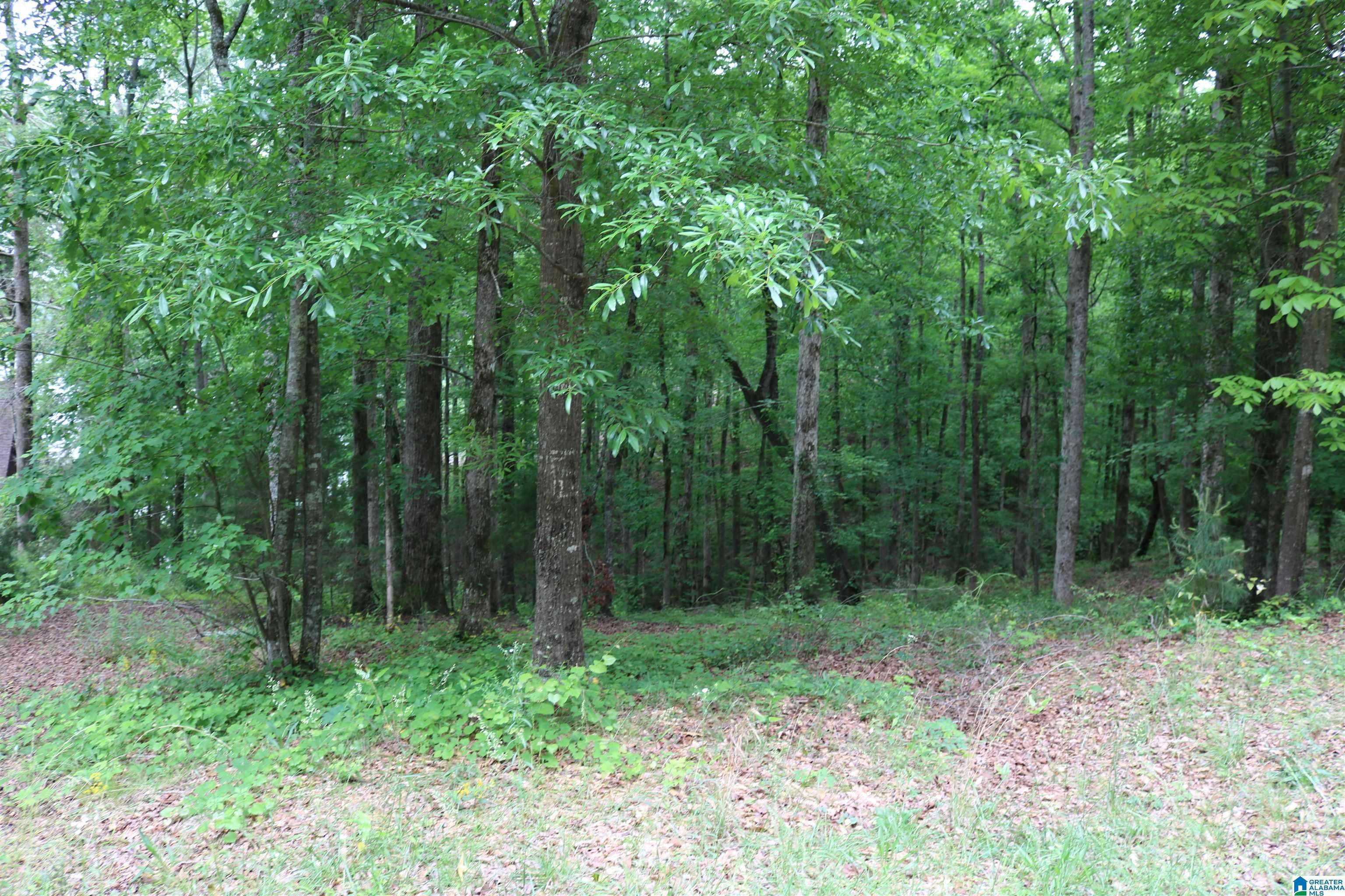 Wedowee, AL 36278,551 POPLAR PLACE