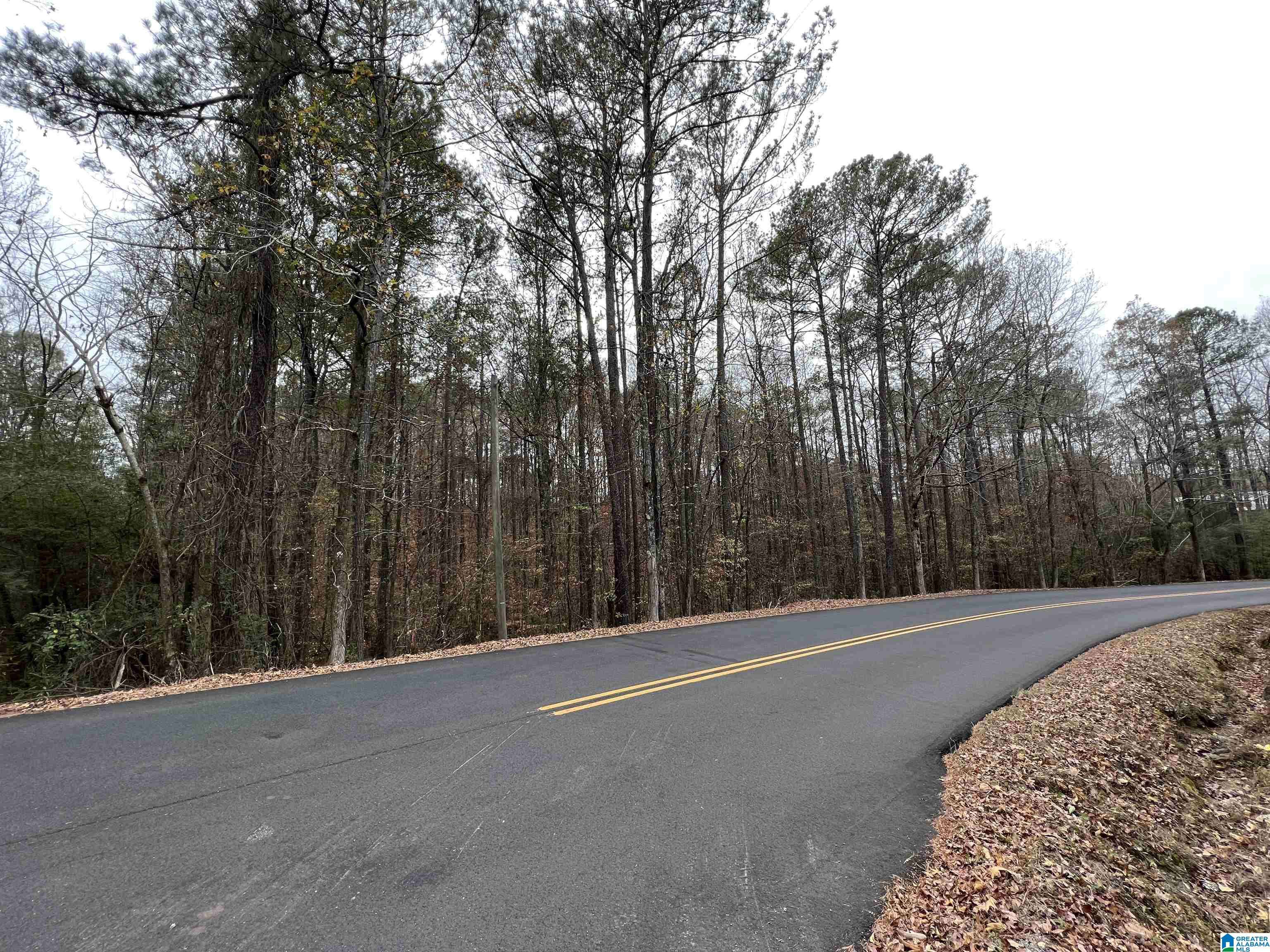 Mccalla, AL 35111,0 HEPZIBAH CHURCH ROAD #8
