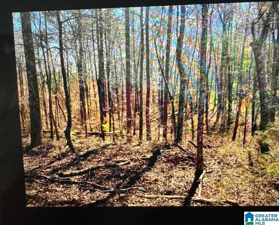 Anniston, AL 36207,4809 LAUREL TRACE #7