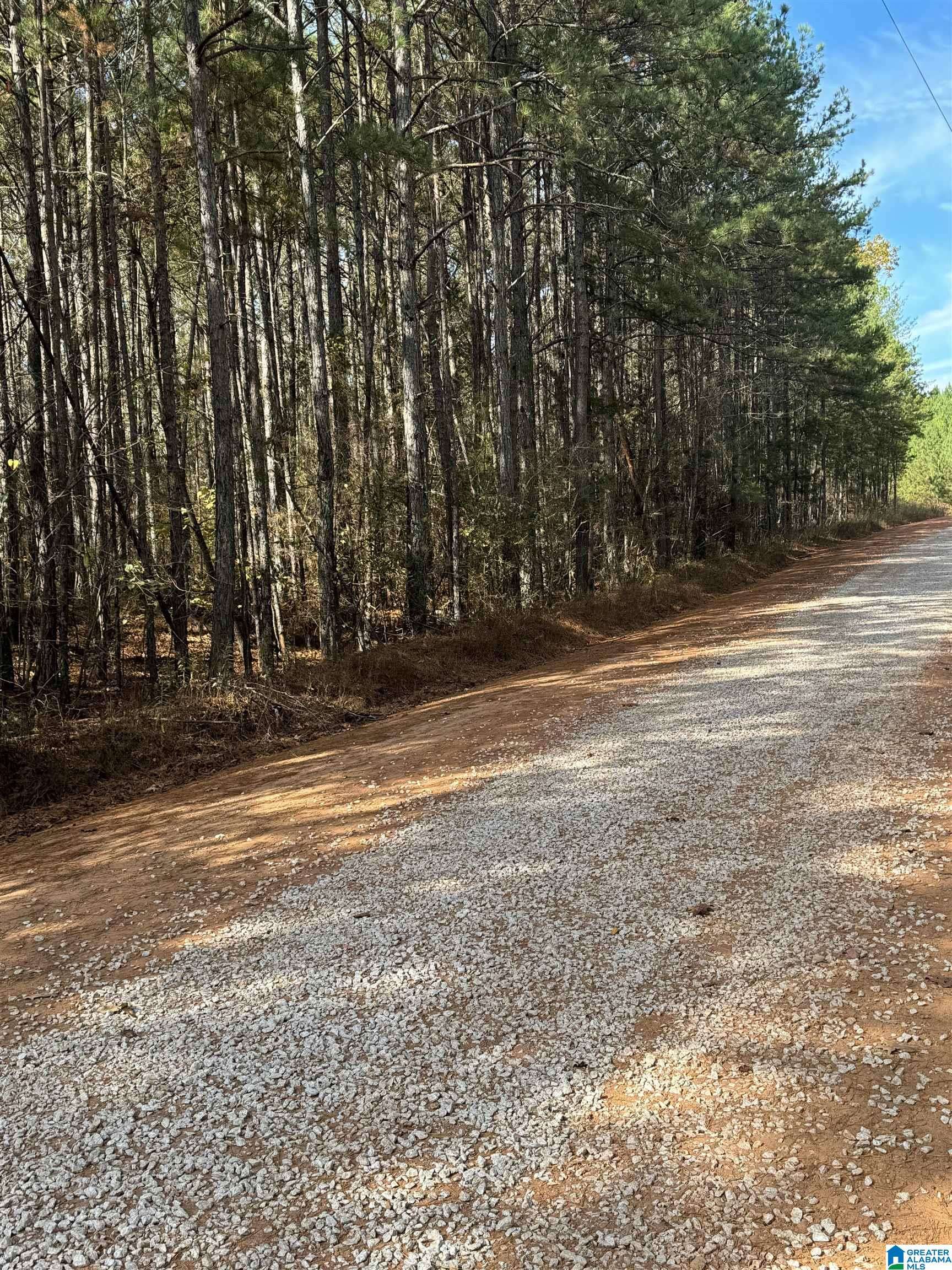 Delta, AL 36258,0 GOBBLER CREEK ROAD #0