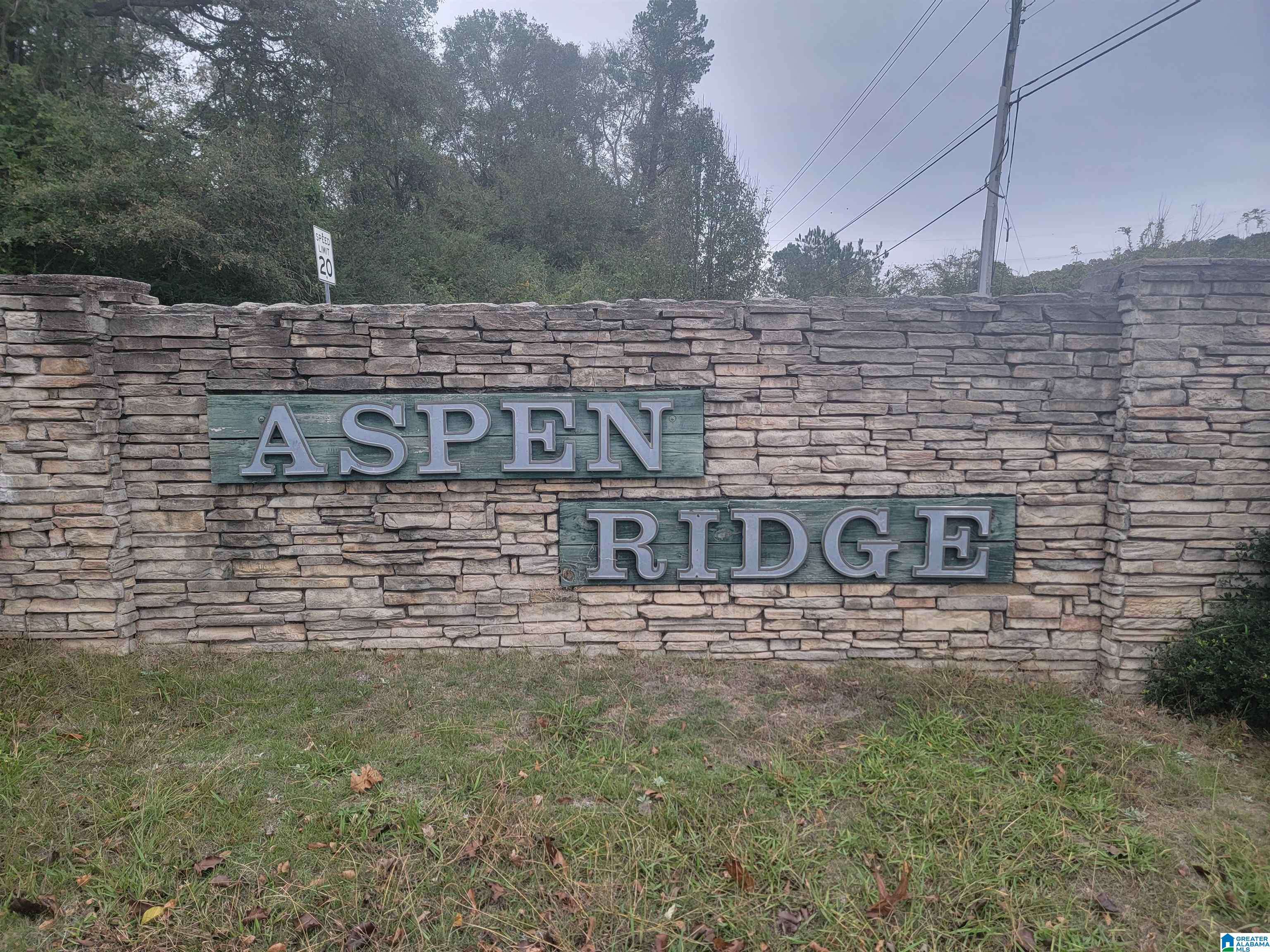 Pinson, AL 35126,7617 ASPEN RIDGE LANE #539