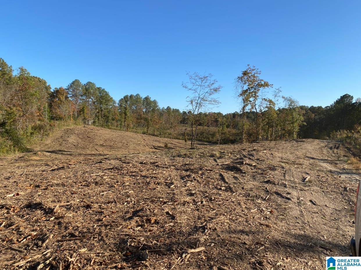 Morris, AL 35116,2011 MCCAY DRIVE #Lot 4