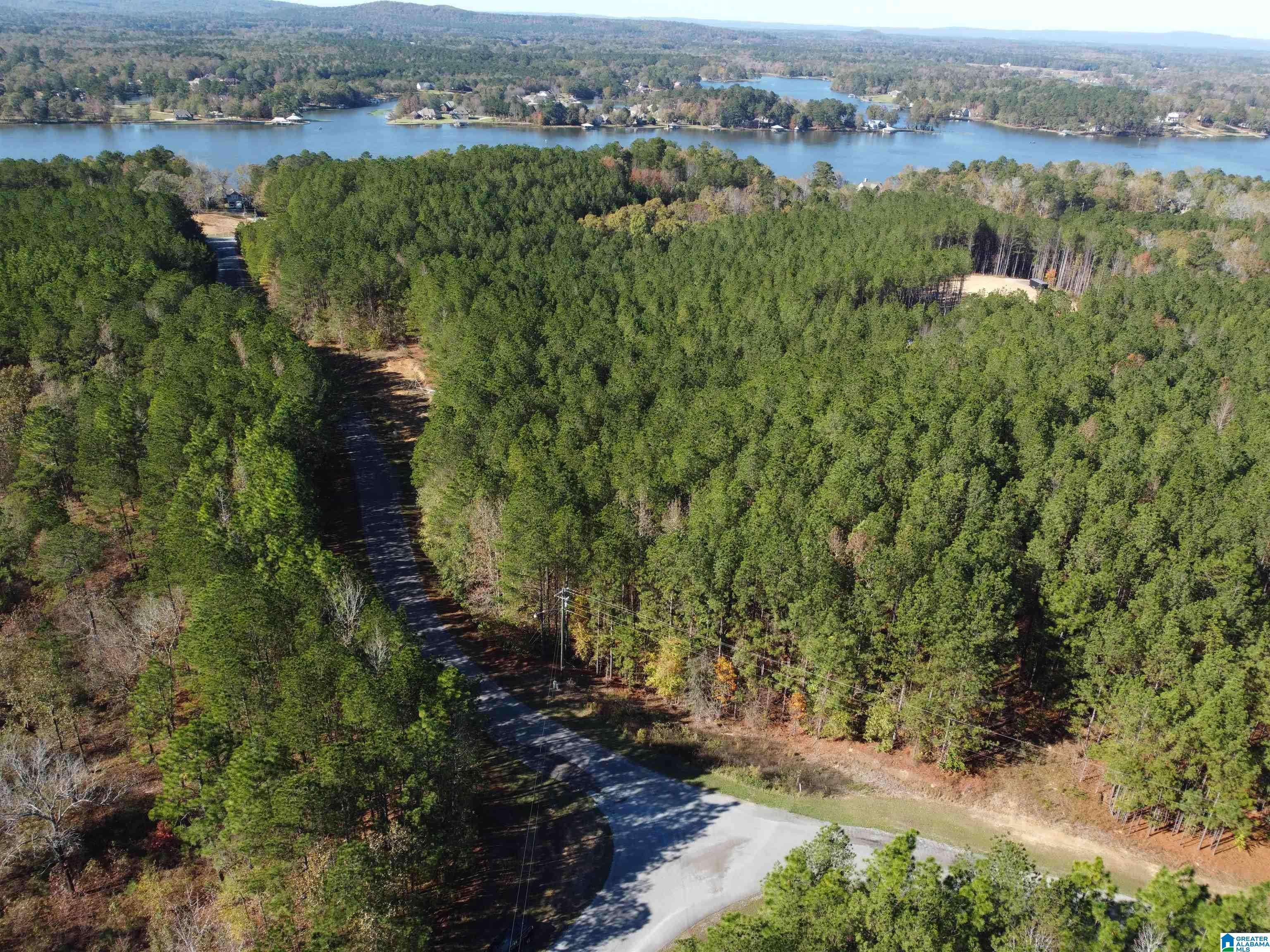Sylacauga, AL 35151,Lot 221 SHORE SIDE LANE #221