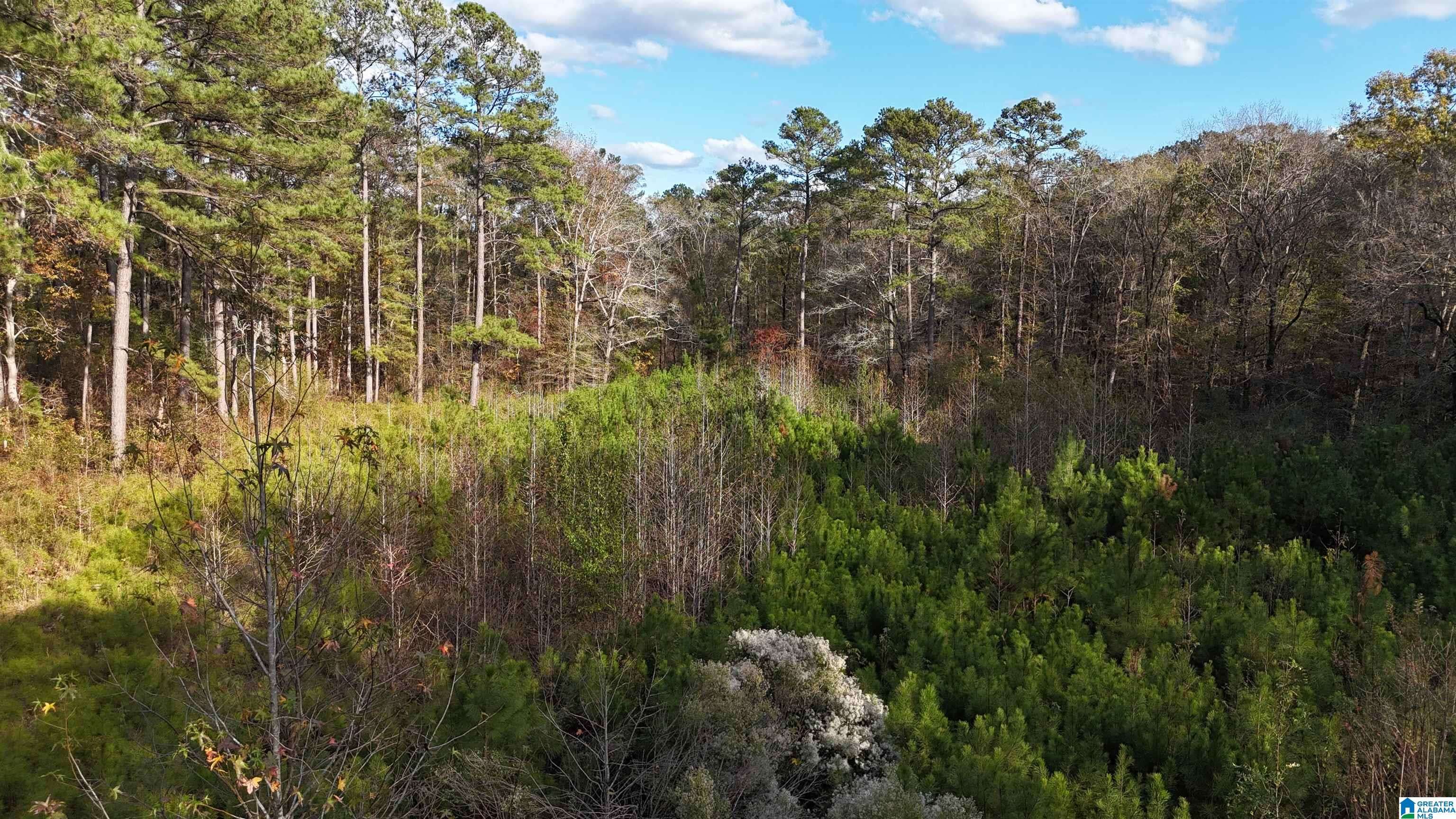 Chelsea, AL 35043,001 HIGHWAY 39 #1