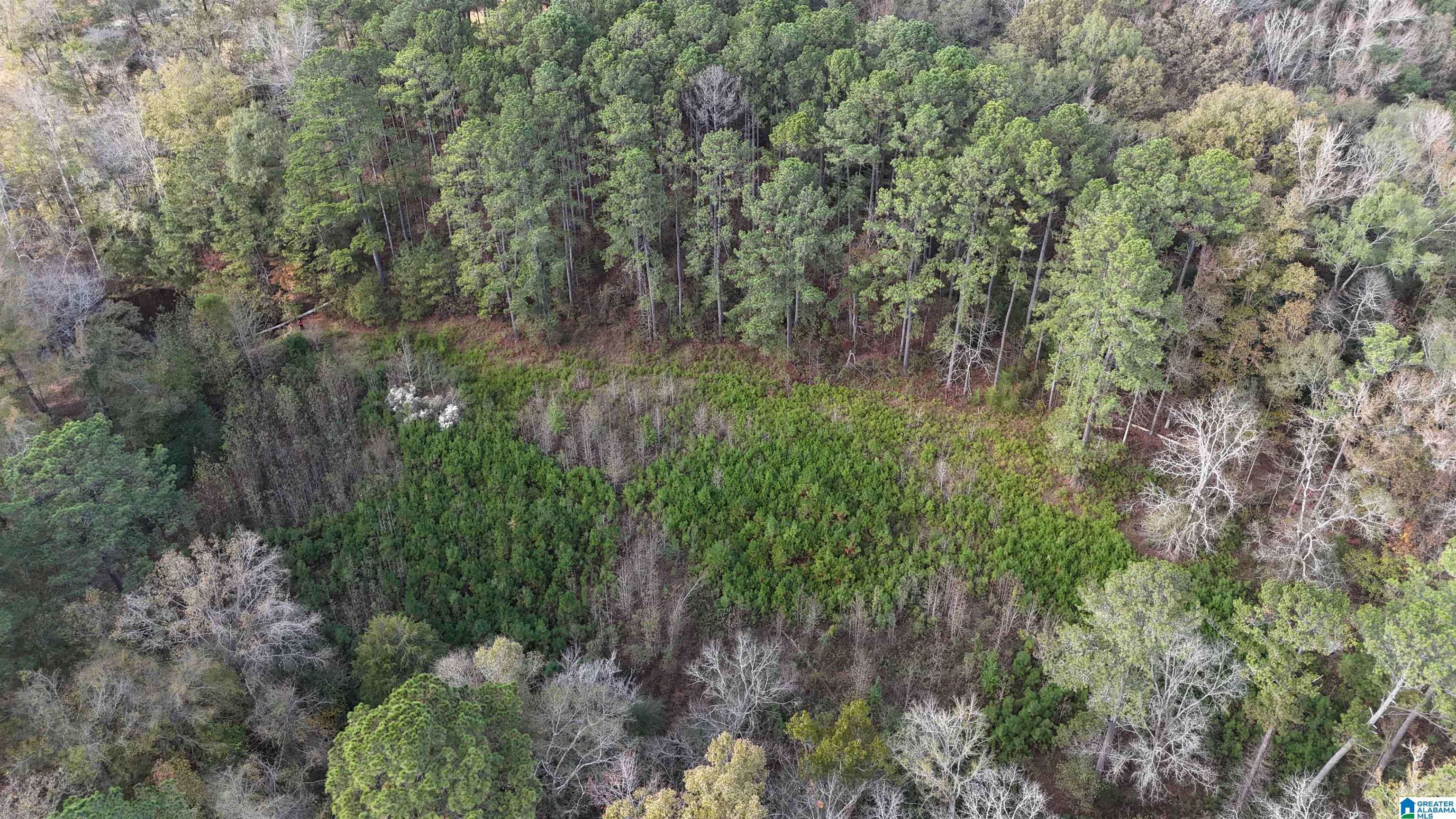 Chelsea, AL 35043,001 HIGHWAY 39 #1