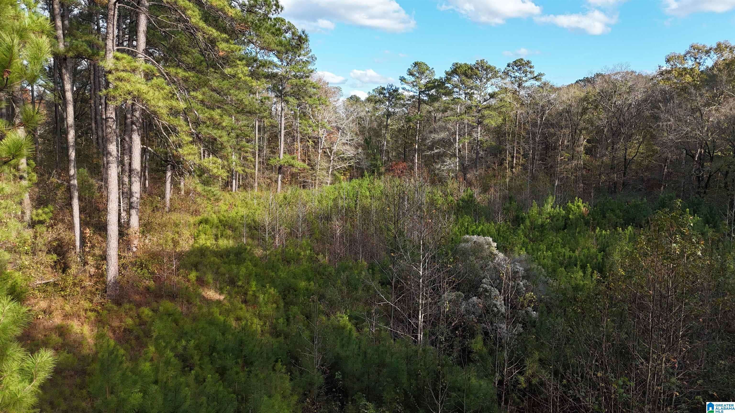 Chelsea, AL 35043,001 HIGHWAY 39 #1
