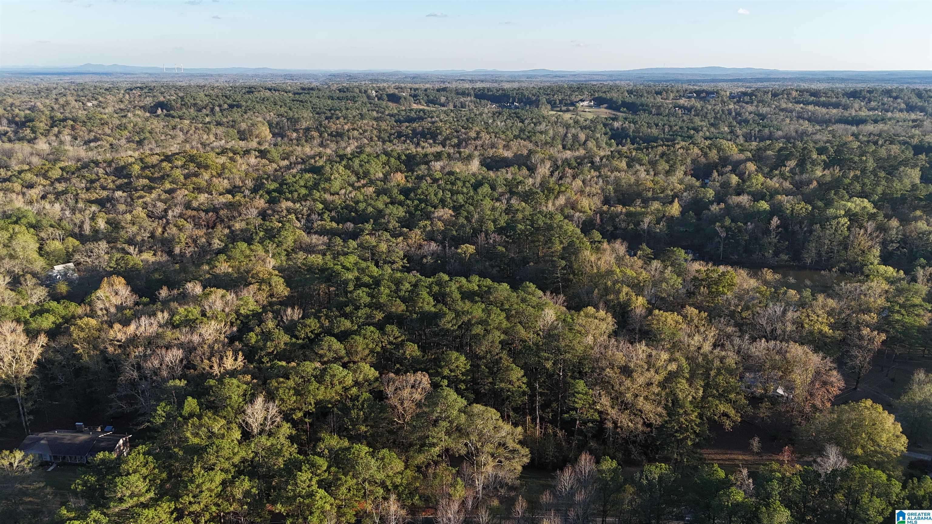 Chelsea, AL 35043,001 HIGHWAY 39 #1