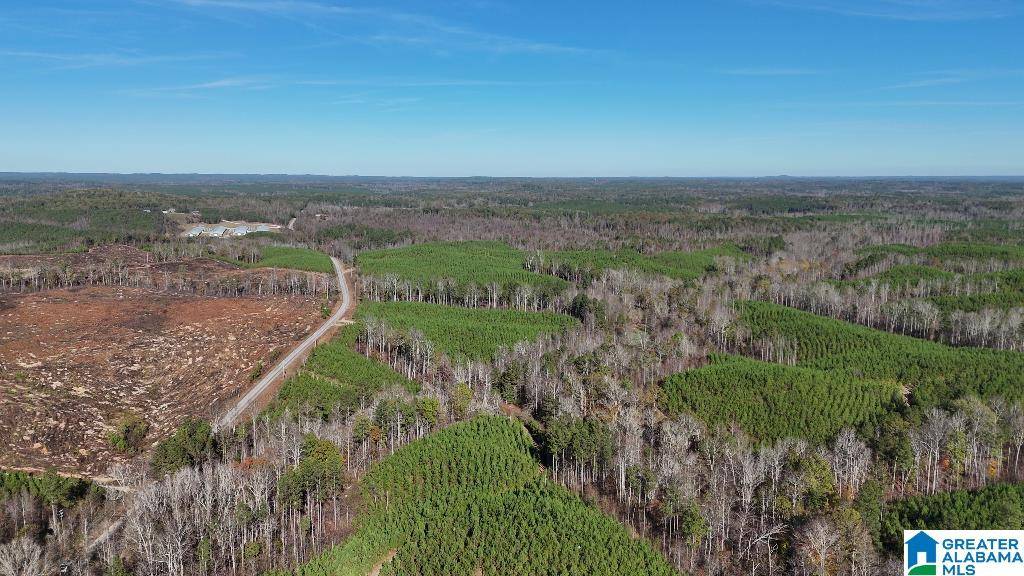 Fruithurst, AL 36262,0 COUNTY ROAD 65 #0