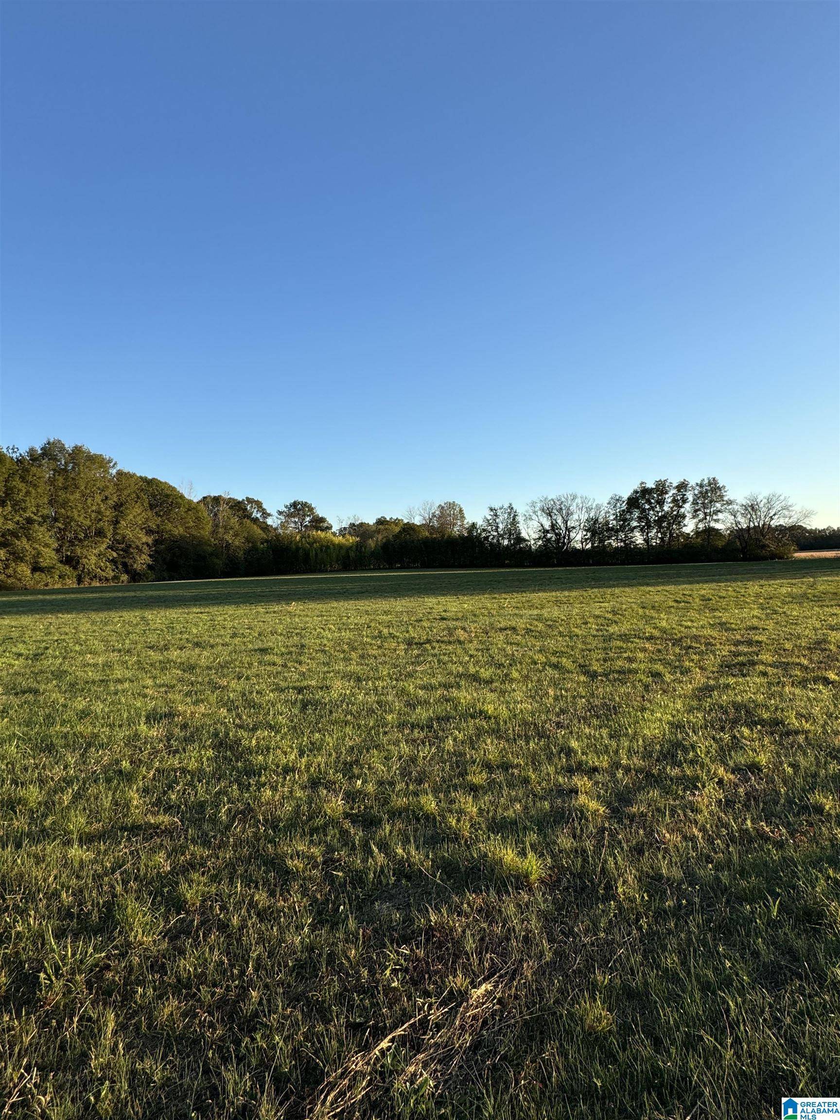 Brent, AL 35034,0 KROUT STREET #0