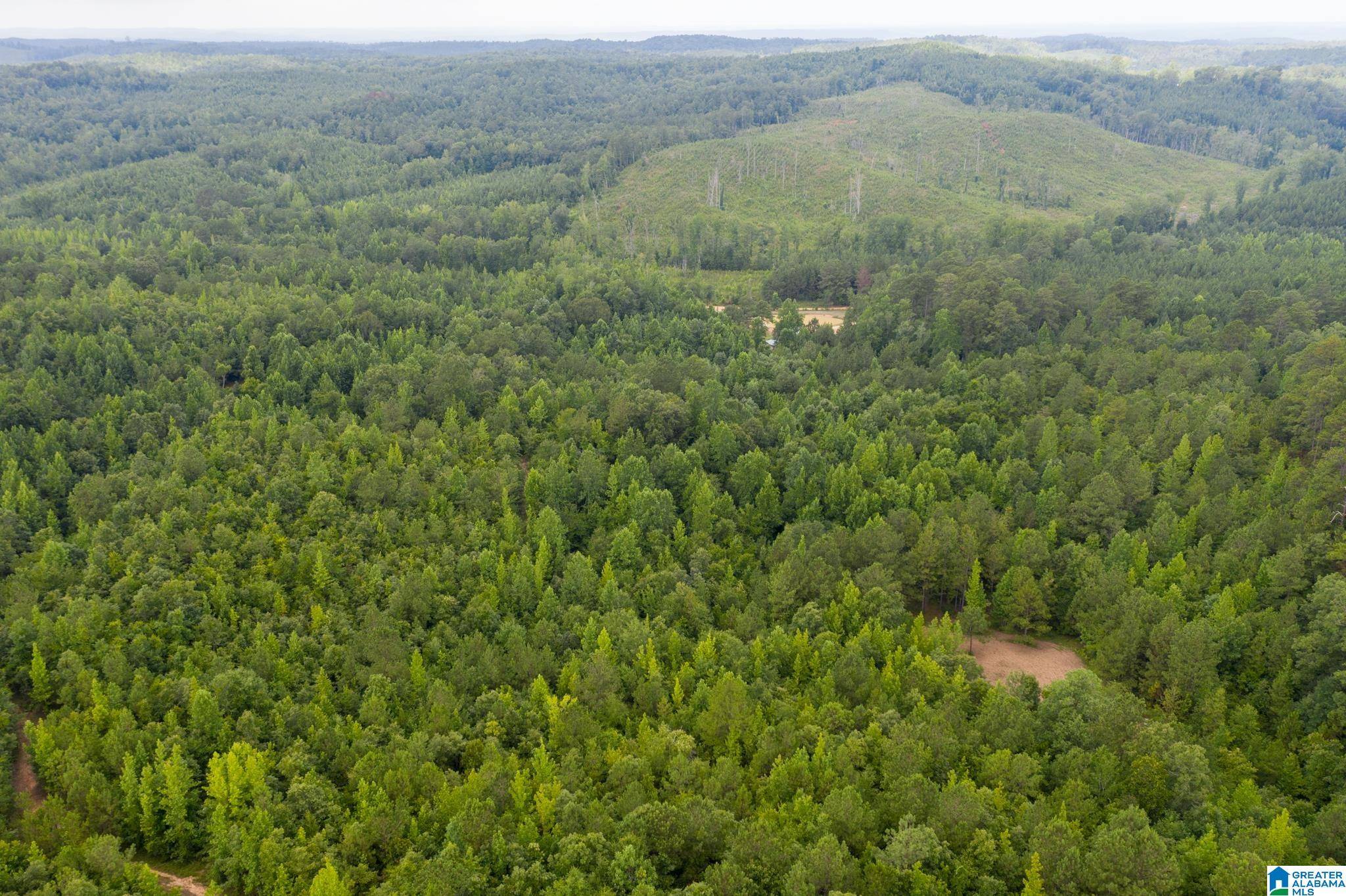 Marion, AL 36756,3025 POTATO PATCH CREEK ROAD ##