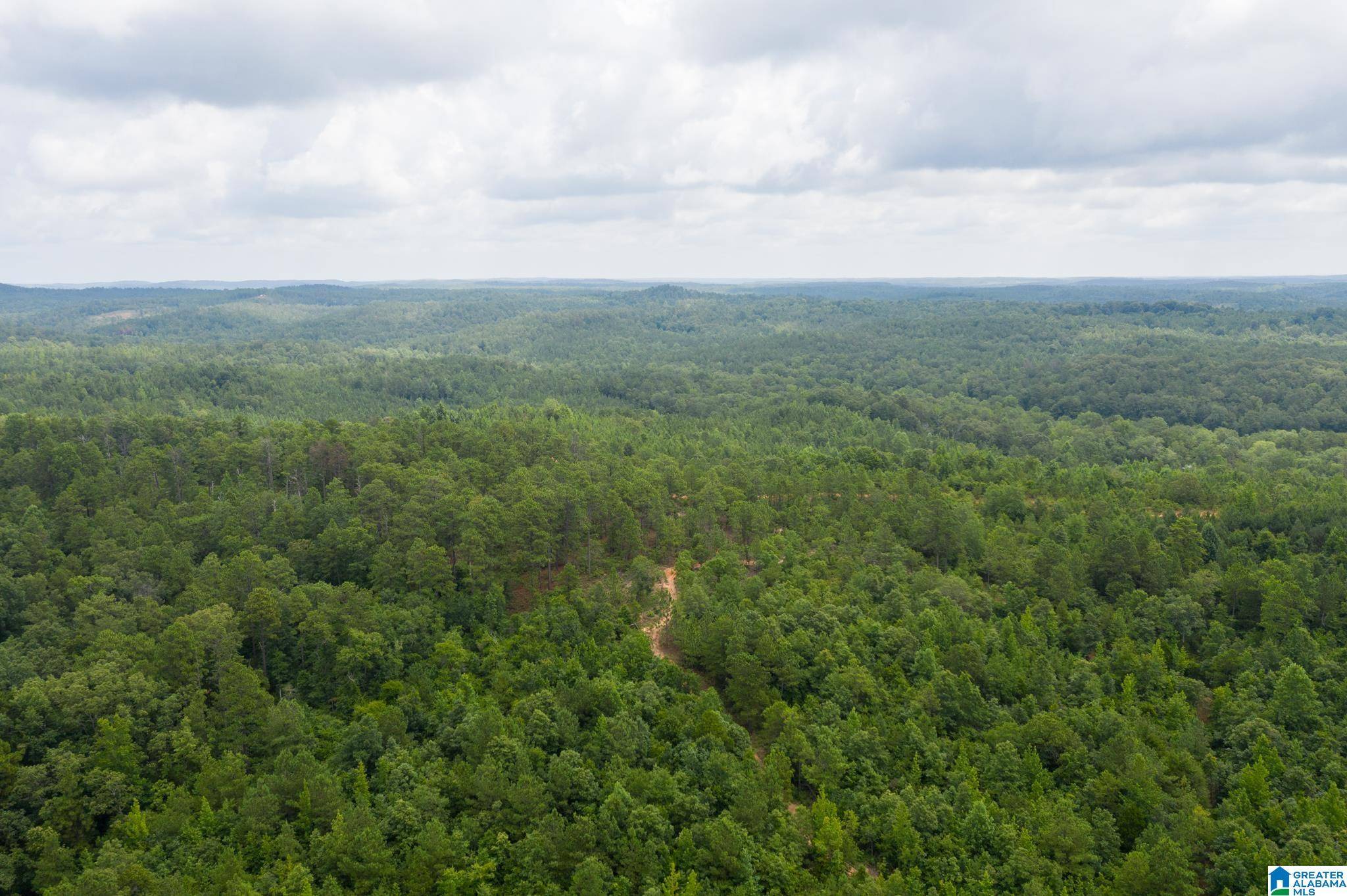 Marion, AL 36756,3025 POTATO PATCH CREEK ROAD ##