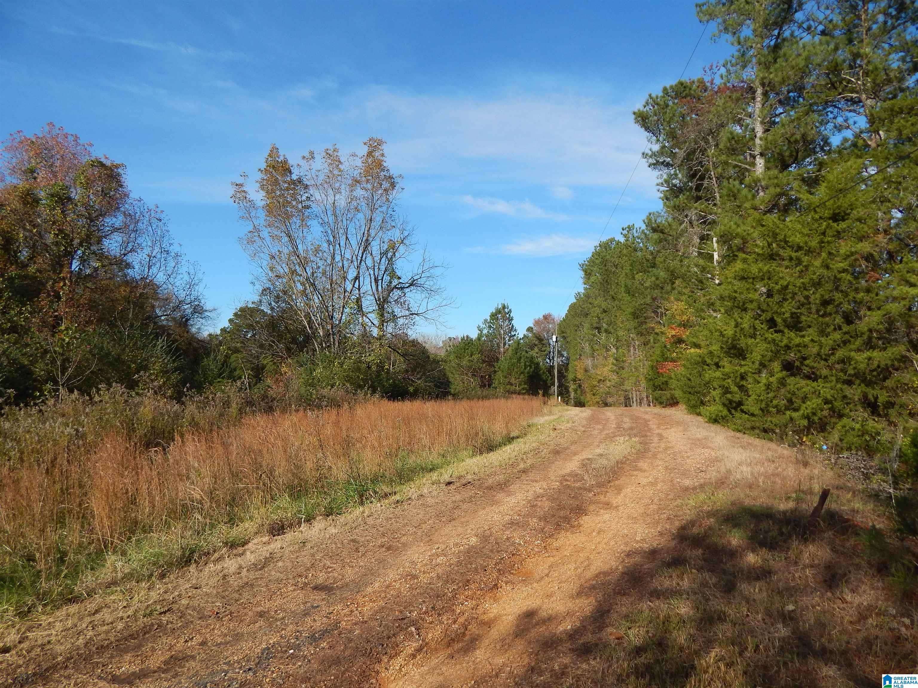 Parrish, AL 35580,26 W WOLF ROAD