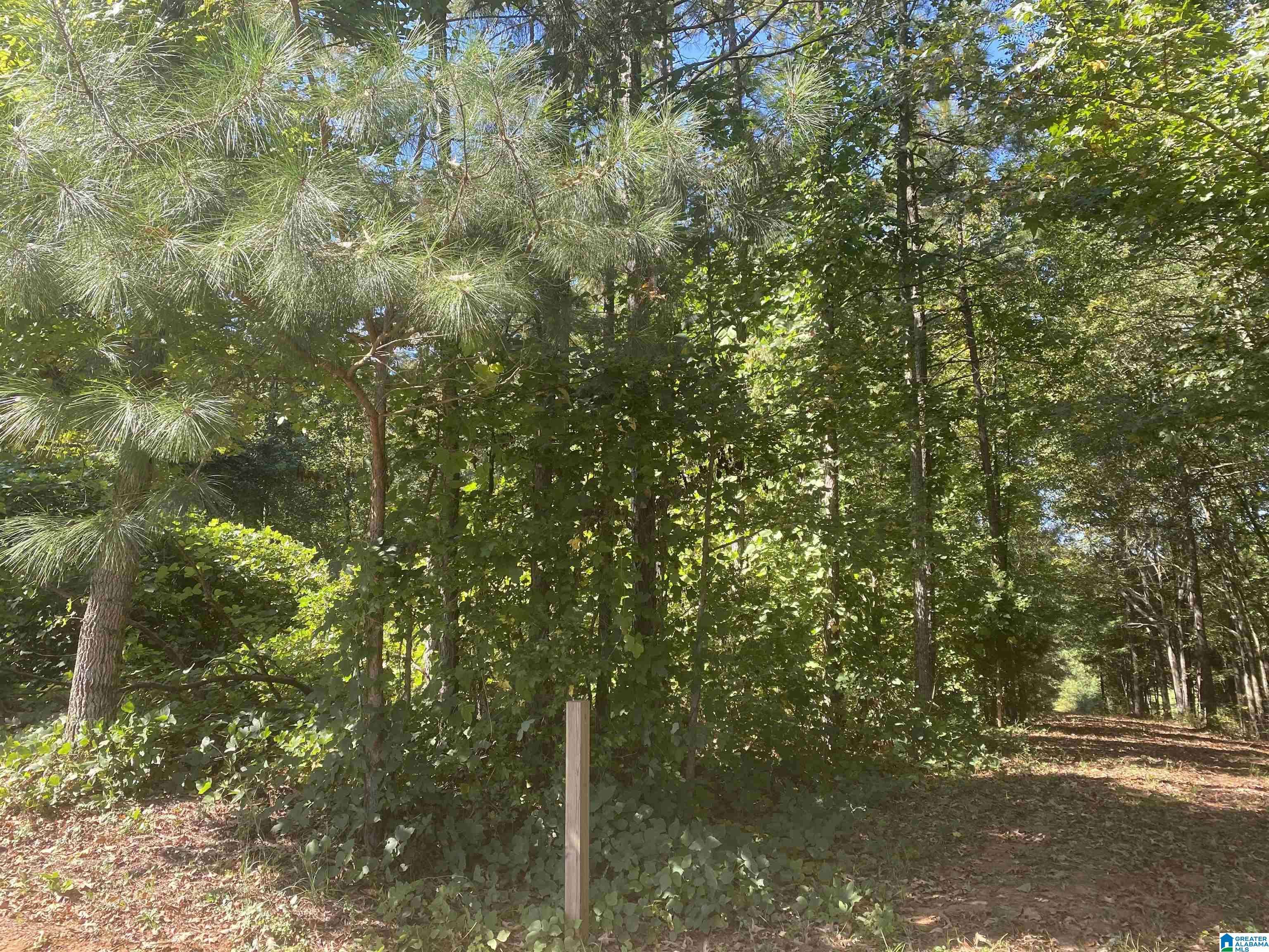 Wedowee, AL 36278,619 COUNTY ROAD 29 #1