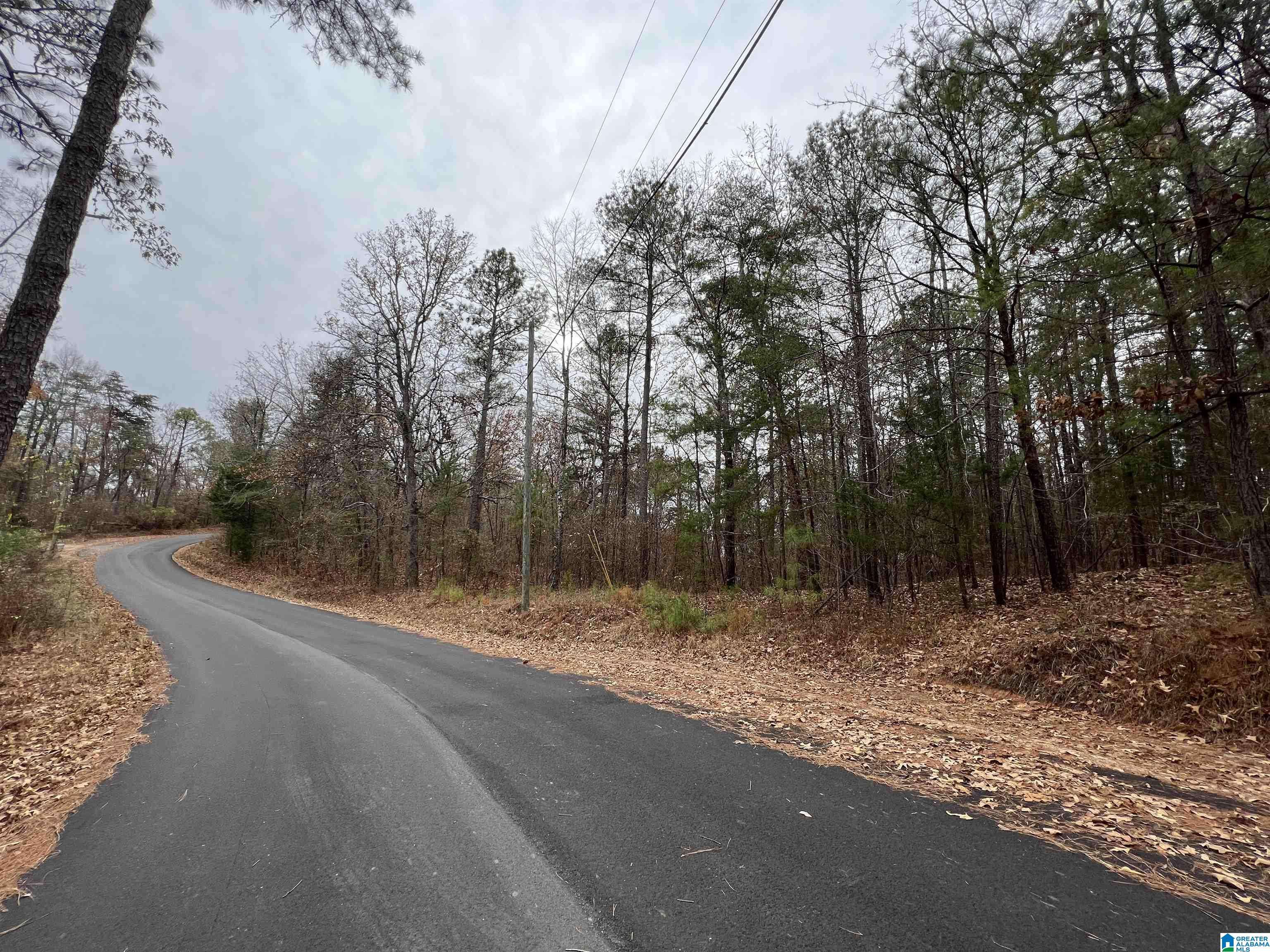 Mccalla, AL 35111,0 MOUNTAINVIEW LANE #35