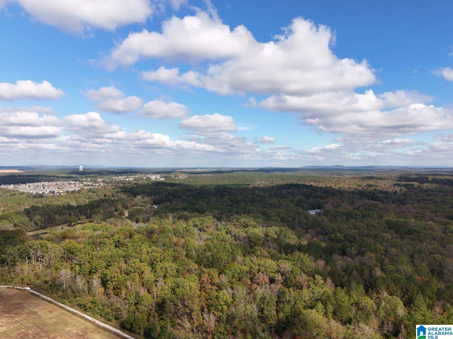 Calera, AL 35040,0 LIMESTONE DRIVE #Metes and Bounds