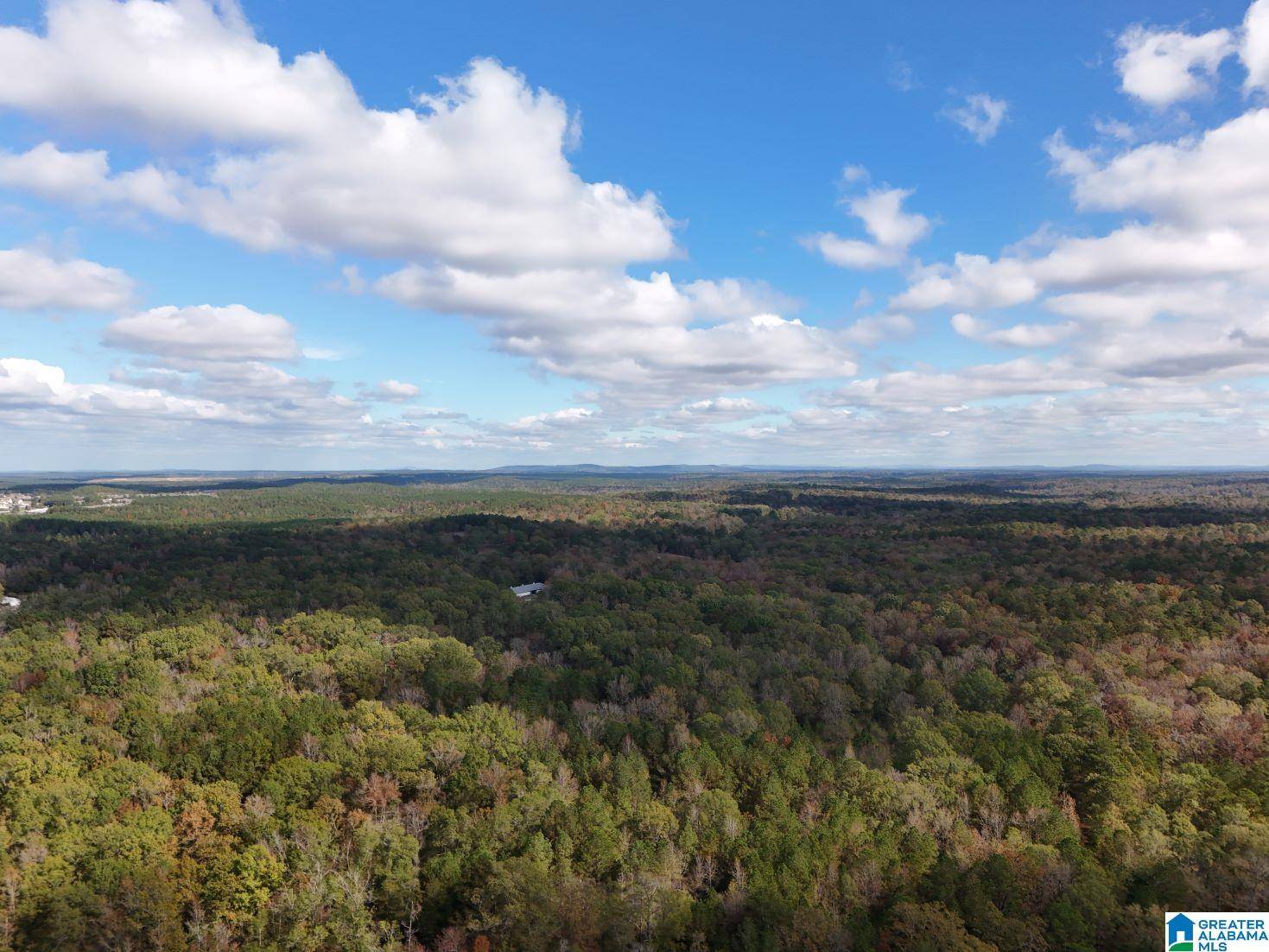 Calera, AL 35040,0 LIMESTONE DRIVE #Metes and Bounds
