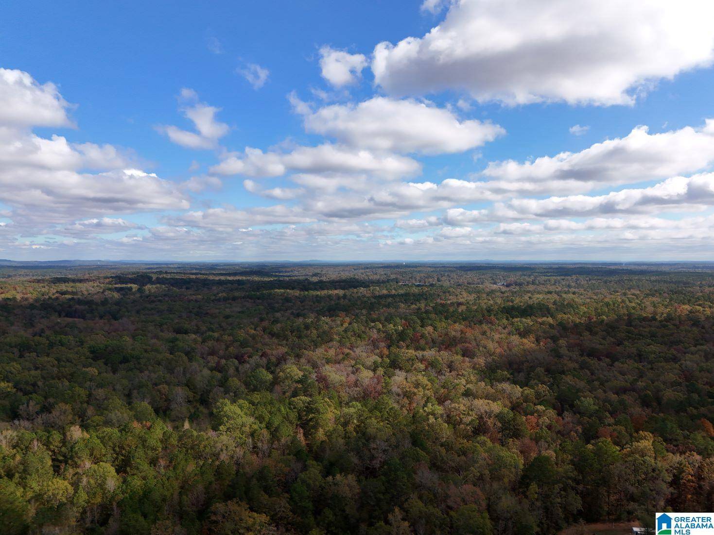 Calera, AL 35040,0 LIMESTONE DRIVE #Metes and Bounds