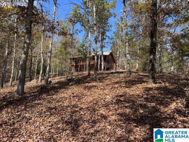 Wedowee, AL 36278,830 COUNTY ROAD 269