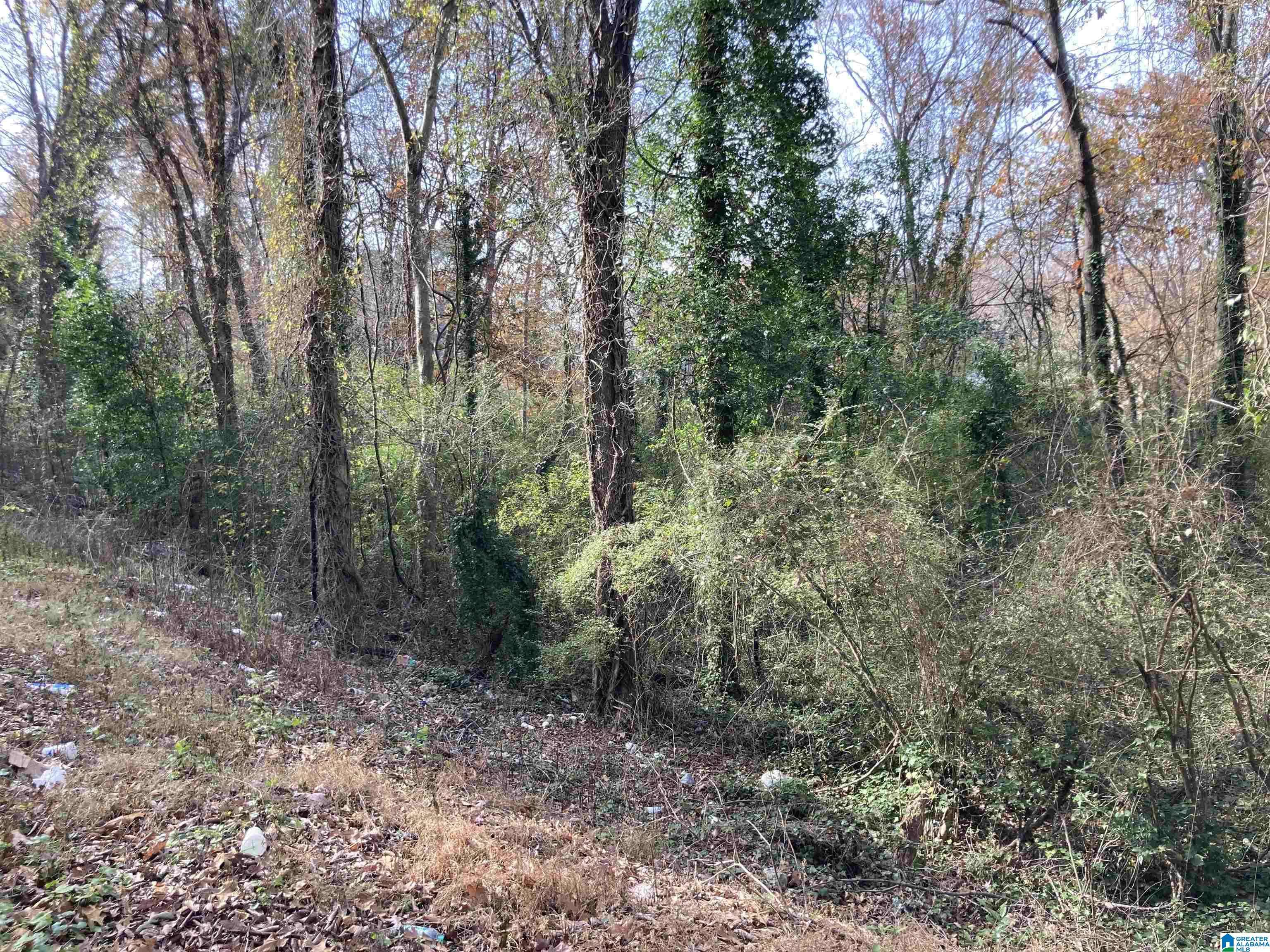 Center Point, AL 35215,2910 1ST STREET NW #0