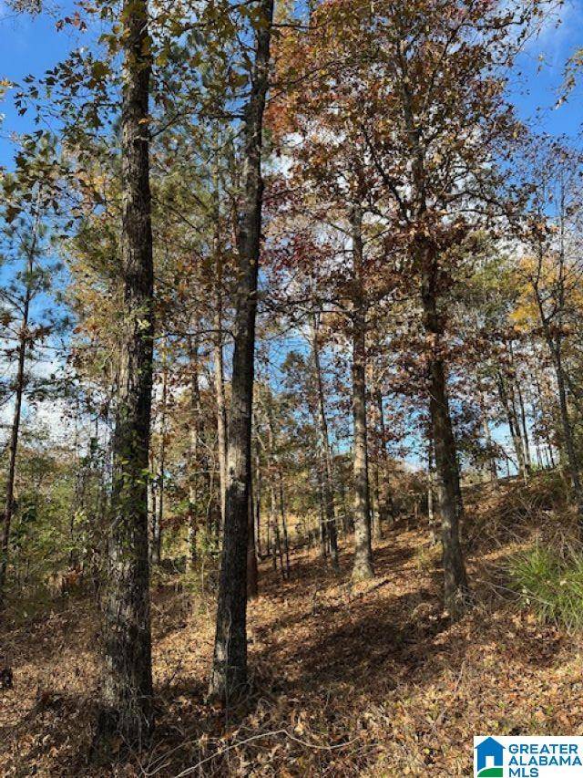 Chelsea, AL 35043,113 CREST DRIVE #1