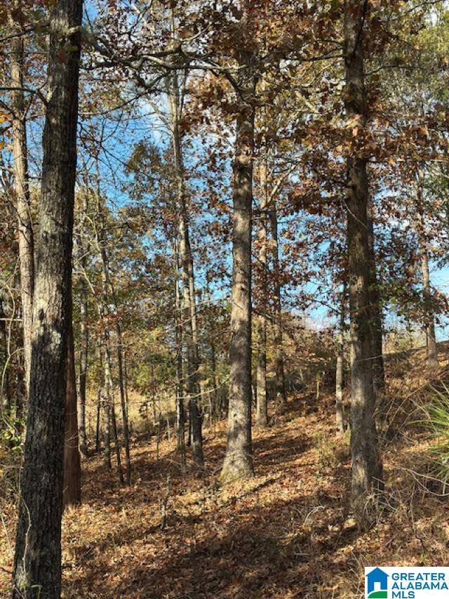 Chelsea, AL 35043,113 CREST DRIVE #1